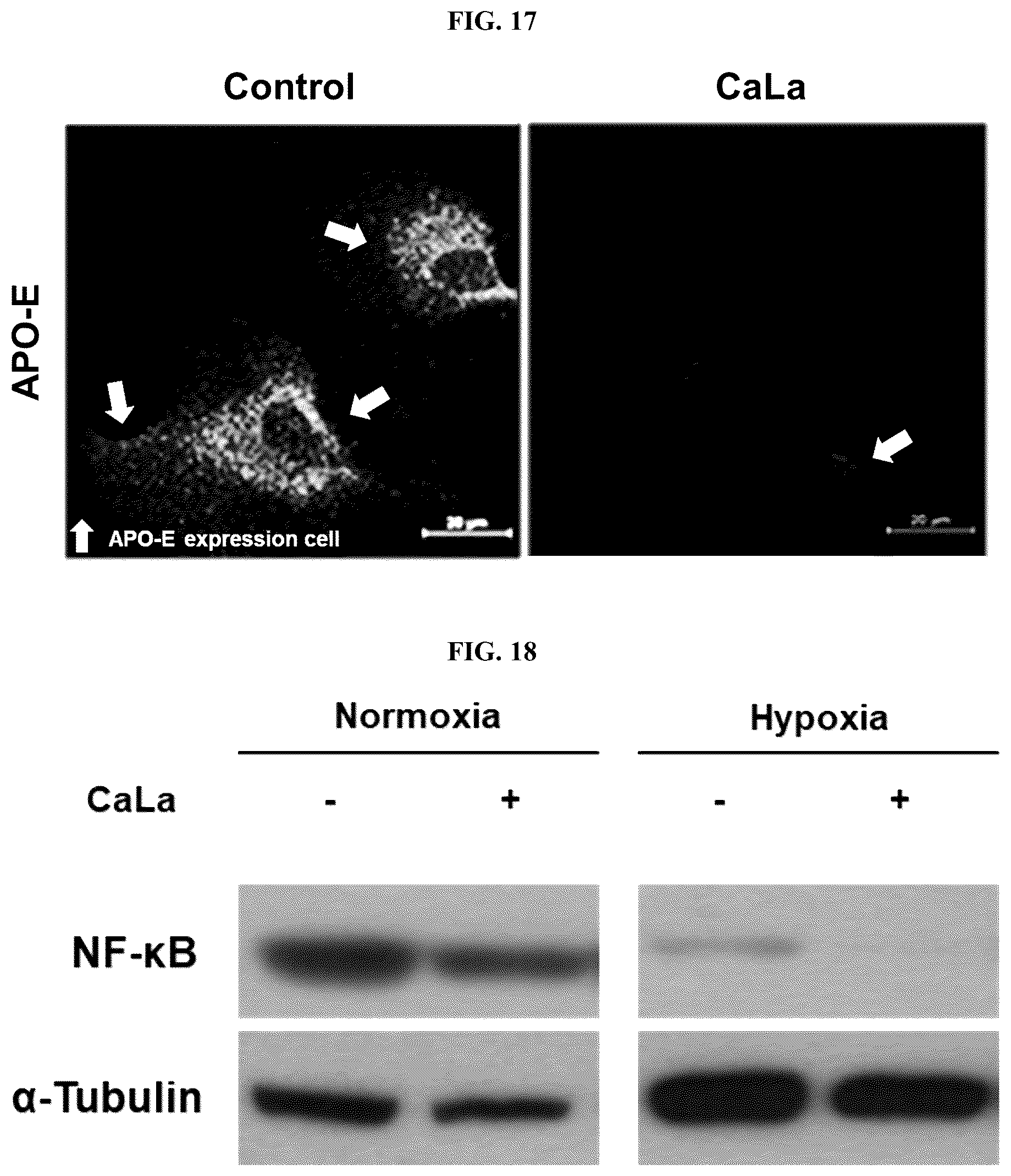 Patent US12576107 Figure 9 – Methods of treating chronic inflammatory diseases