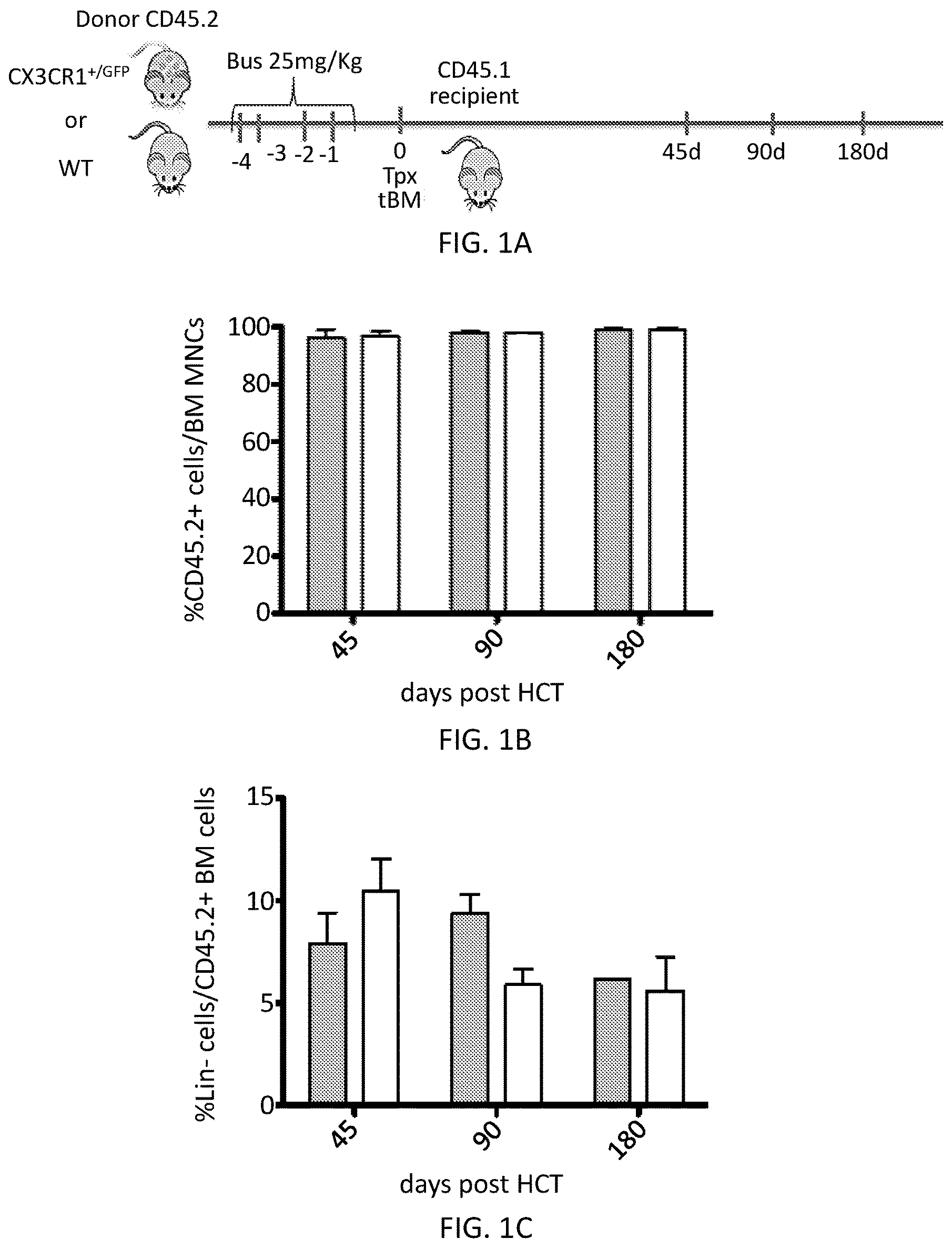 Patent US12576110 Figure 1 – Methods and compositions for reconstituting microglia