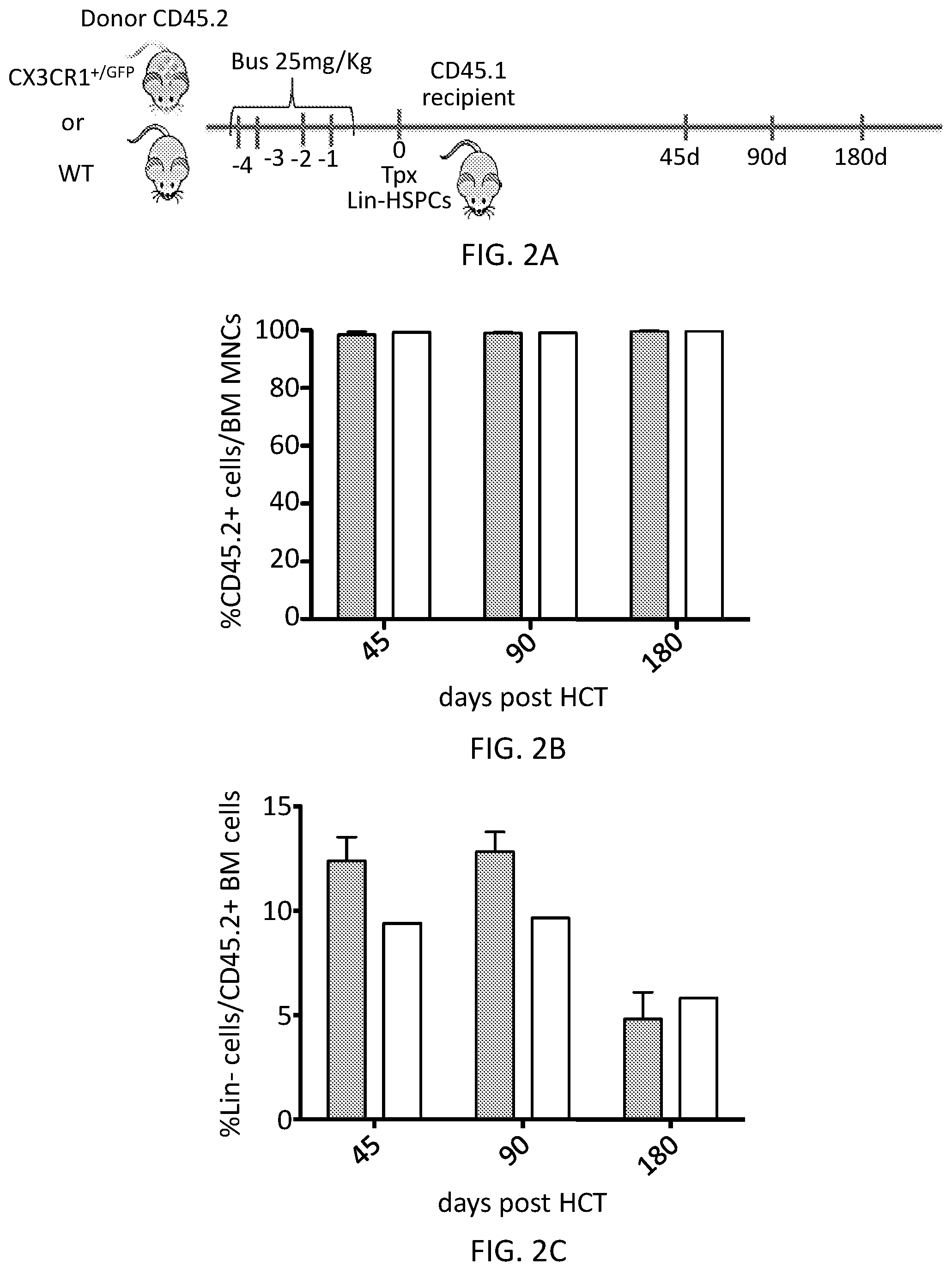 Patent US12576110 Figure 4 – Methods and compositions for reconstituting microglia