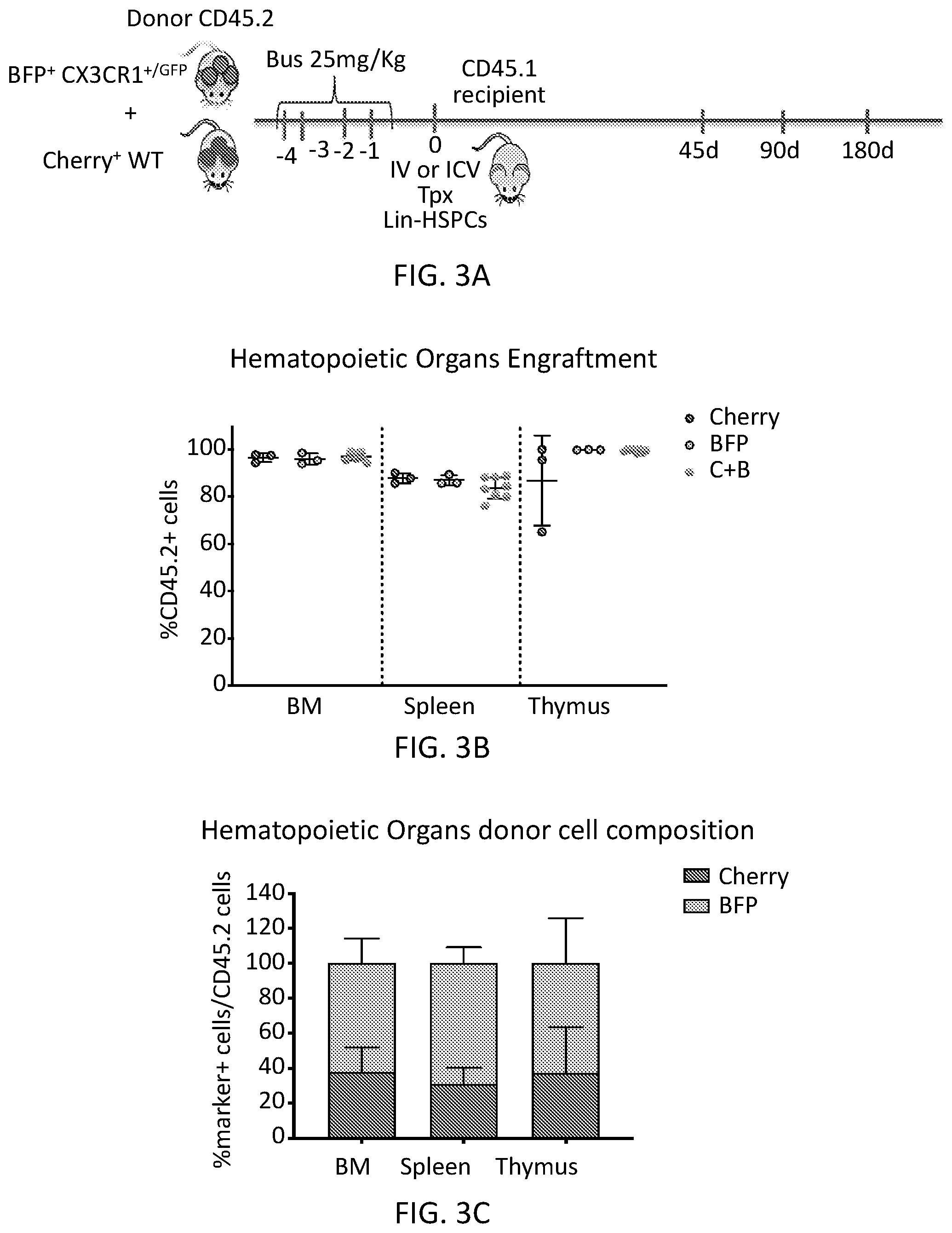 Patent US12576110 Figure 7 – Methods and compositions for reconstituting microglia