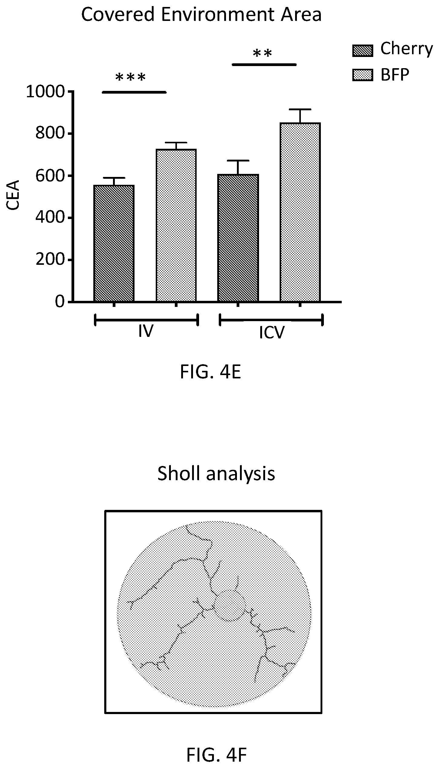 Patent US12576110 Figure 11 – Methods and compositions for reconstituting microglia