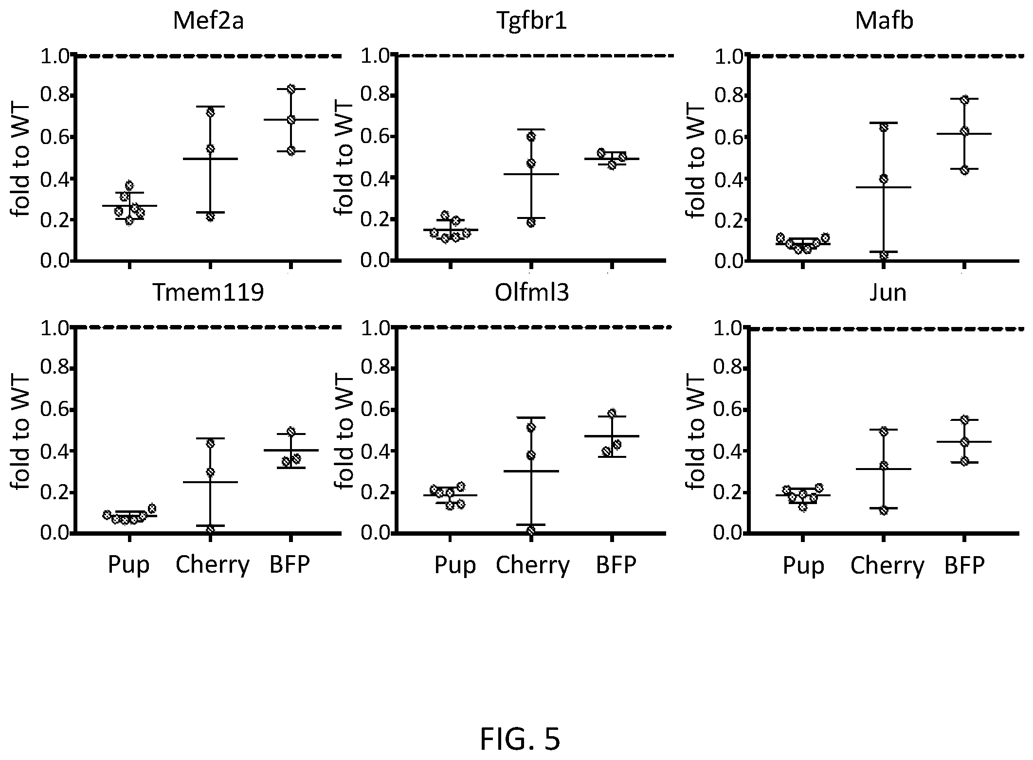 Patent US12576110 Figure 13 – Methods and compositions for reconstituting microglia