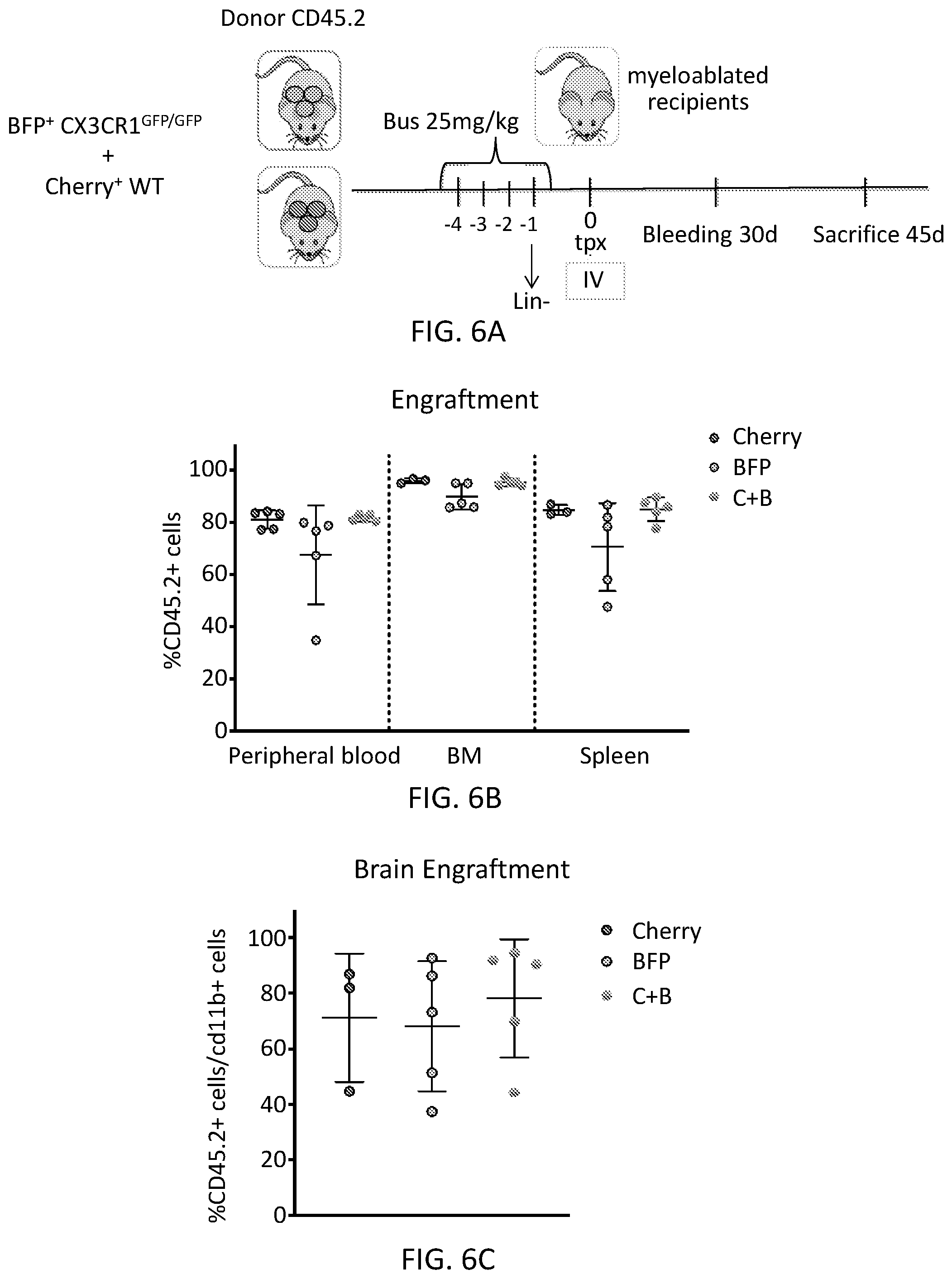 Patent US12576110 Figure 14 – Methods and compositions for reconstituting microglia