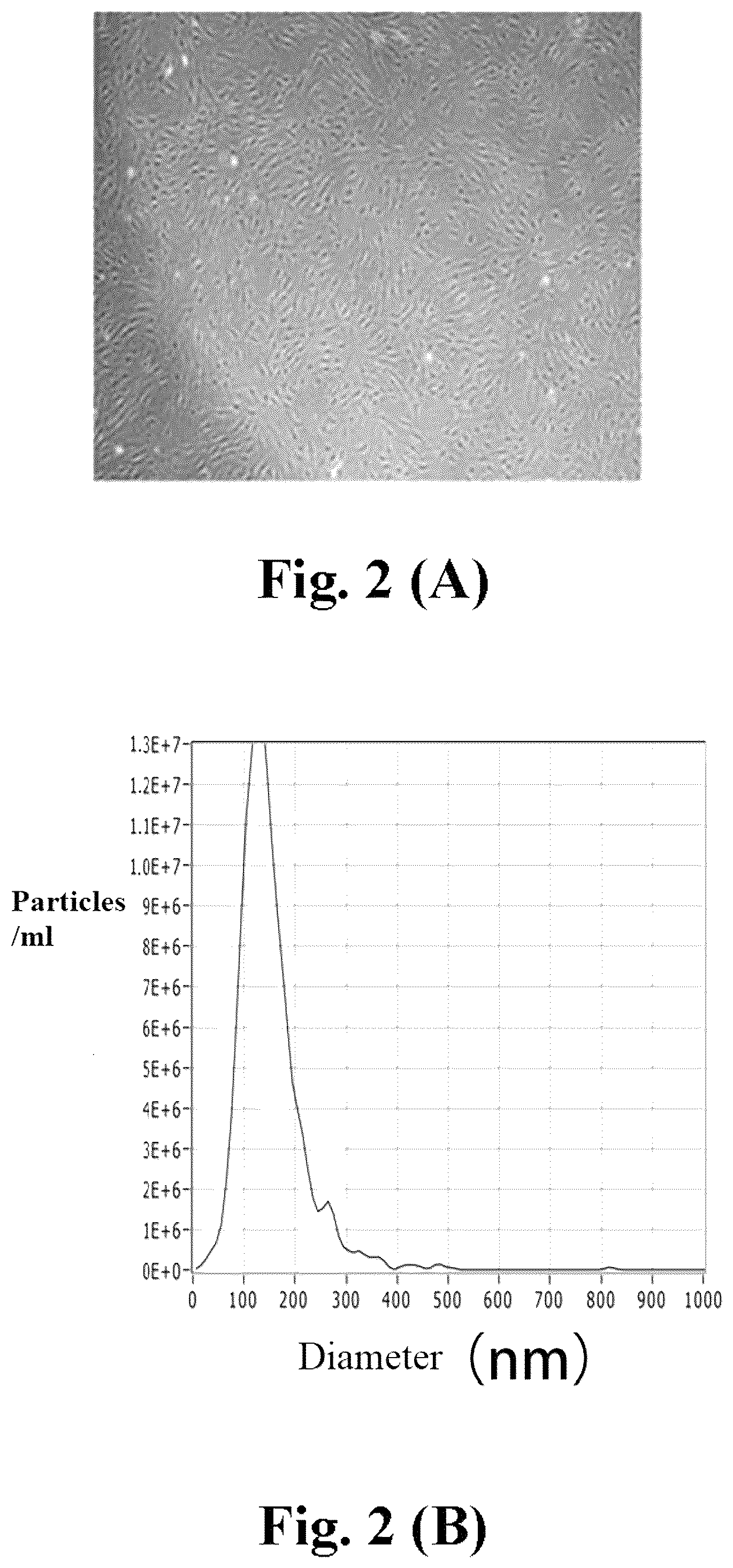 Patent US12576111 Figure 2 – Application of BMSC-exos in treating PD