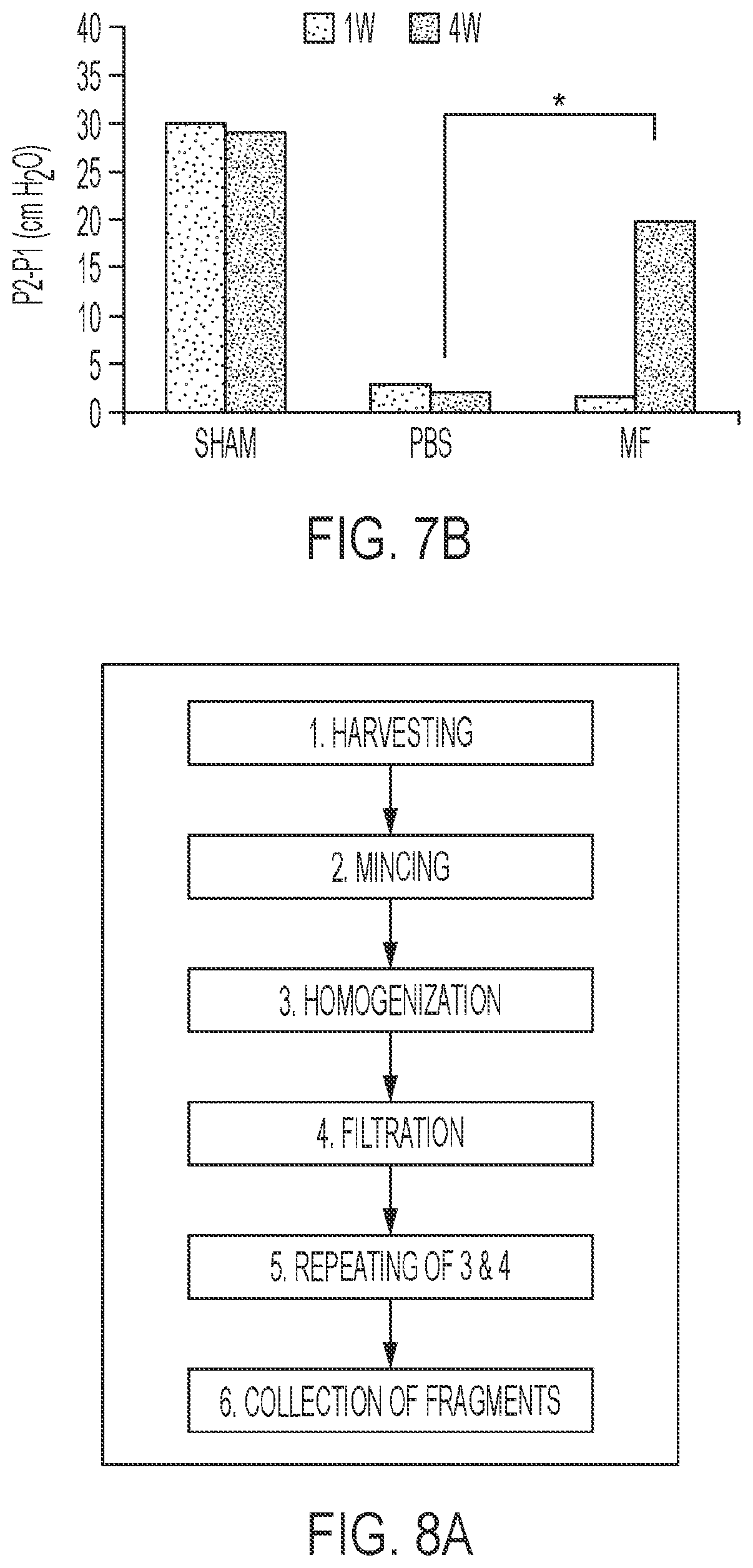 Patent US12576113 Figure 7 – Rotator cuff therapy using muscle fiber fragments