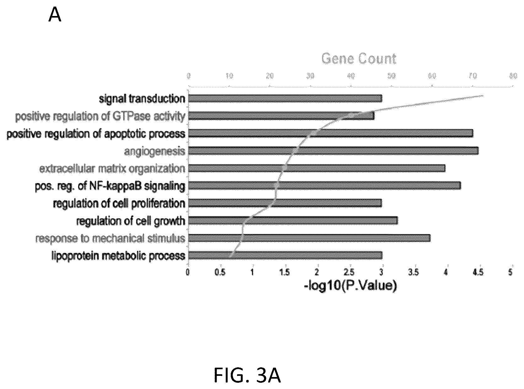 Patent US12576114 Figure 14 – Methods of functional vascularization of pancreatic islets and beta-cell organoids