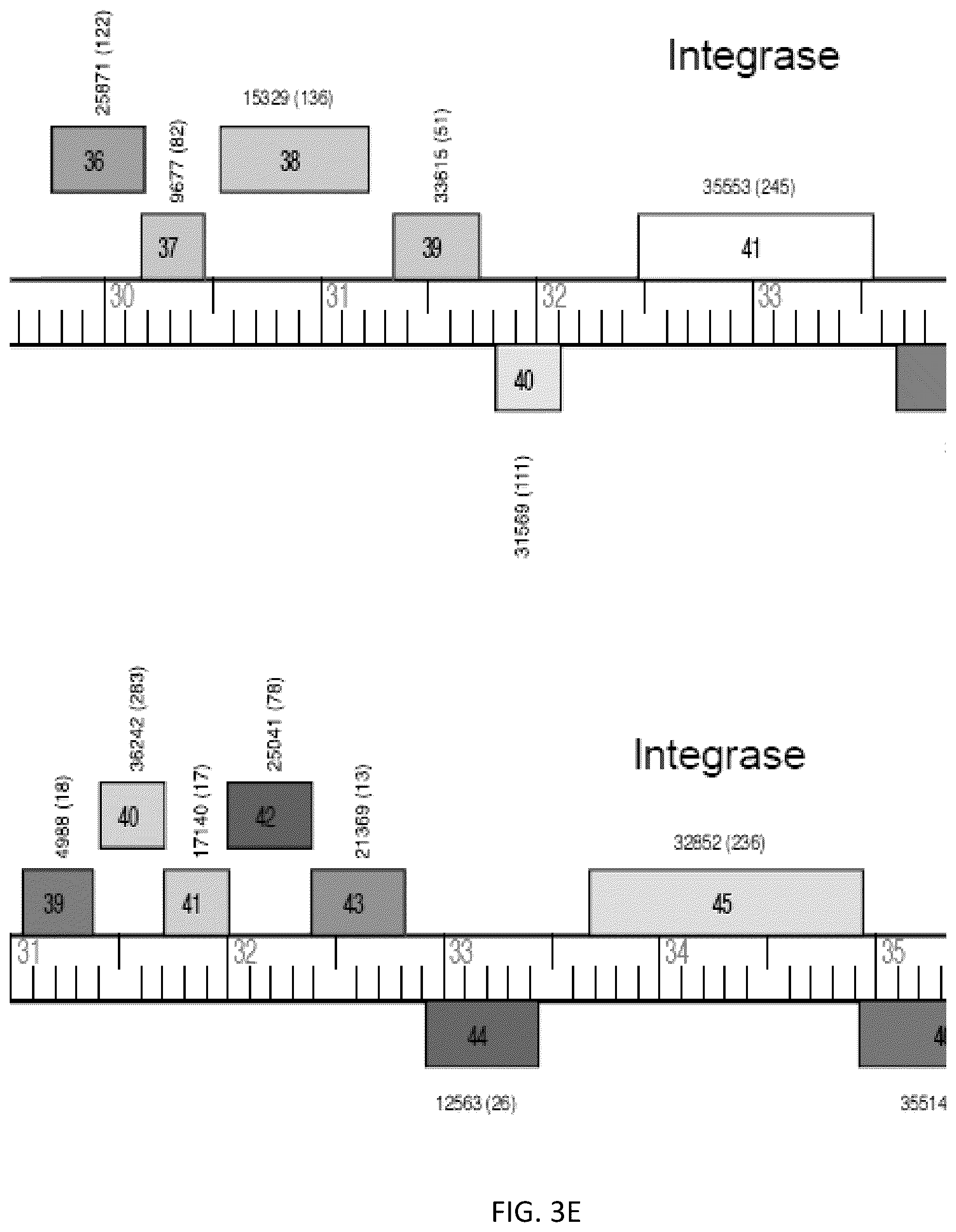 Patent US12576118 Figure 11 – Bacteriophages for the treatment of tuberculosis