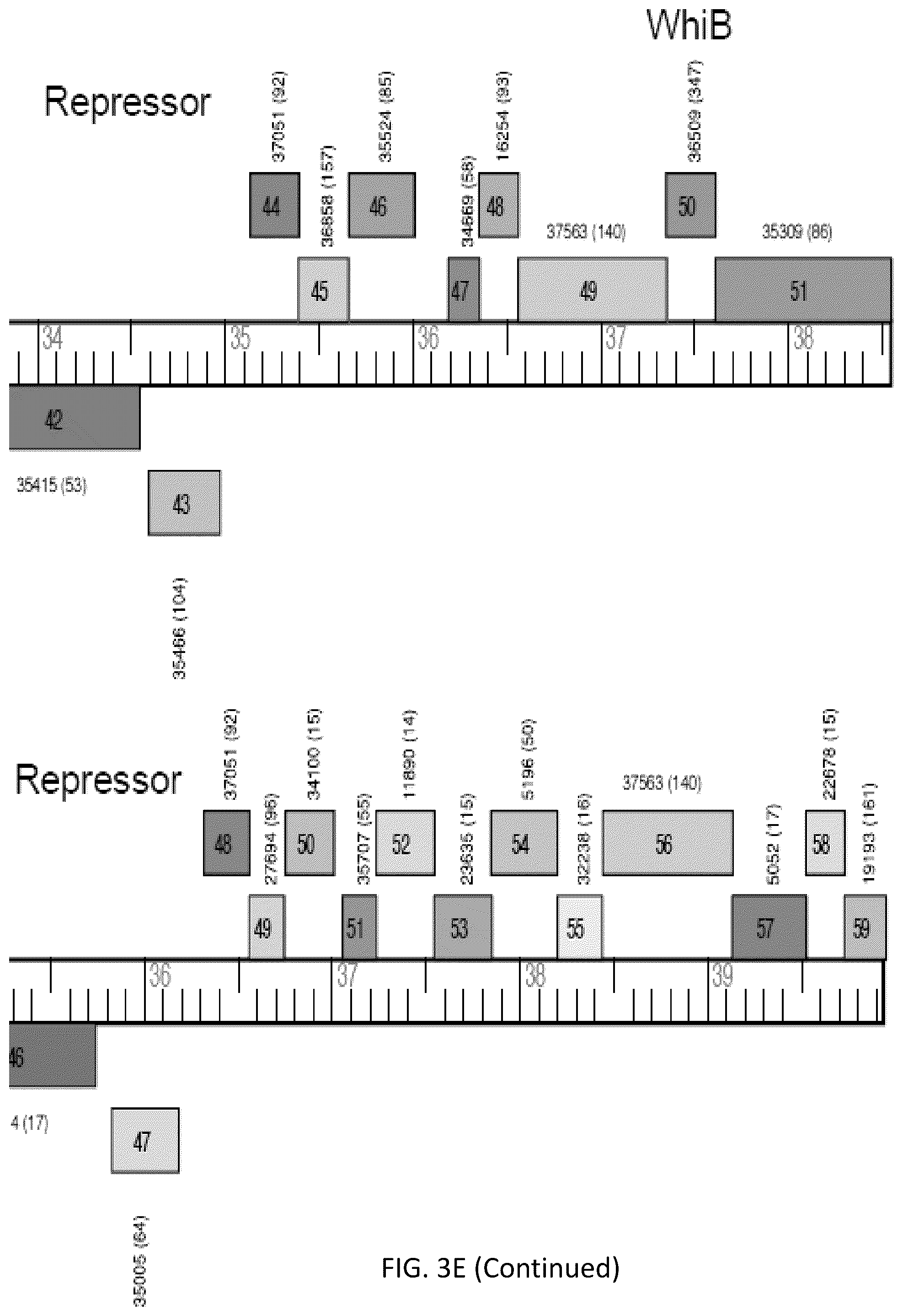 Patent US12576118 Figure 12 – Bacteriophages for the treatment of tuberculosis