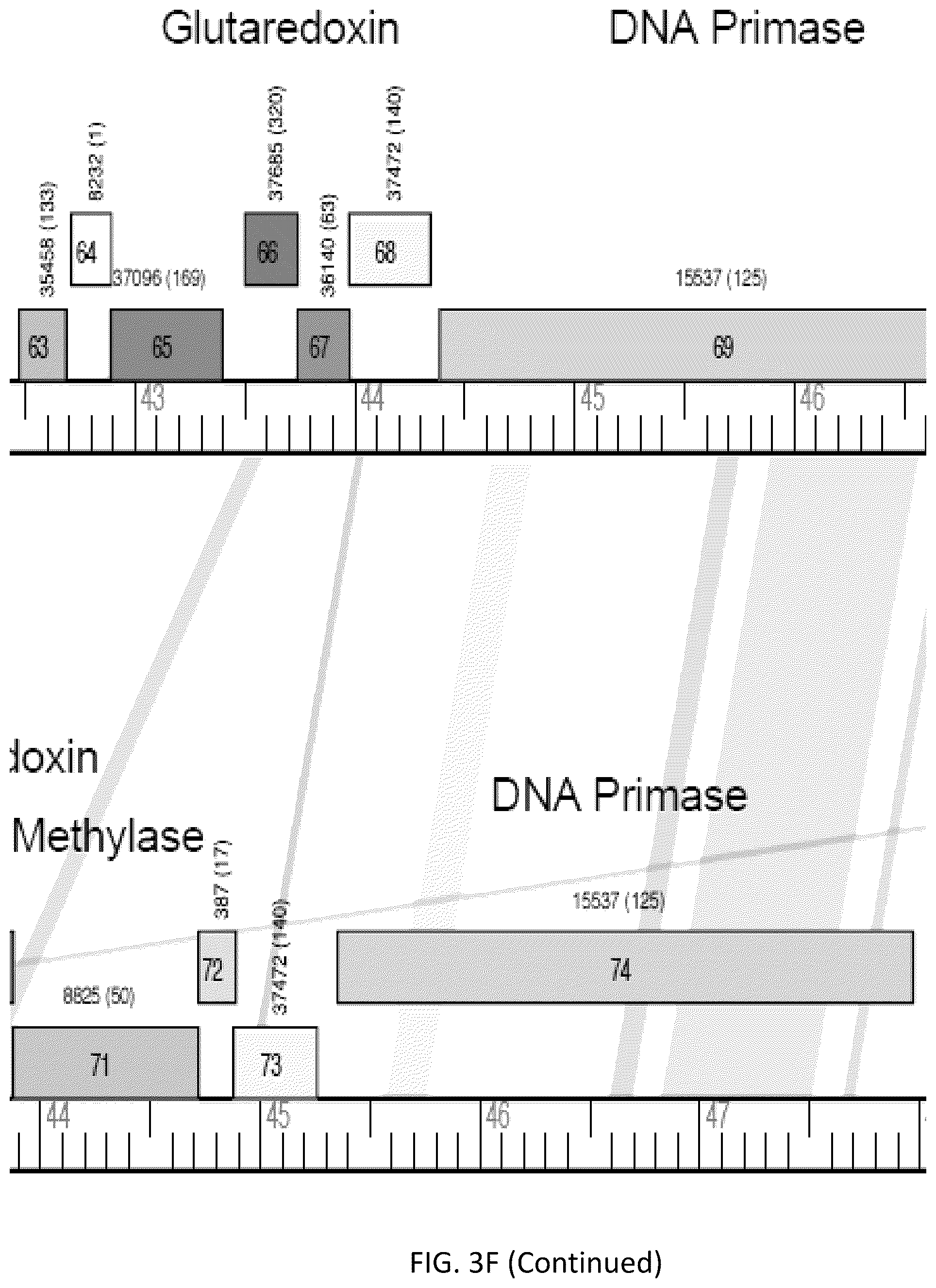 Patent US12576118 Figure 14 – Bacteriophages for the treatment of tuberculosis