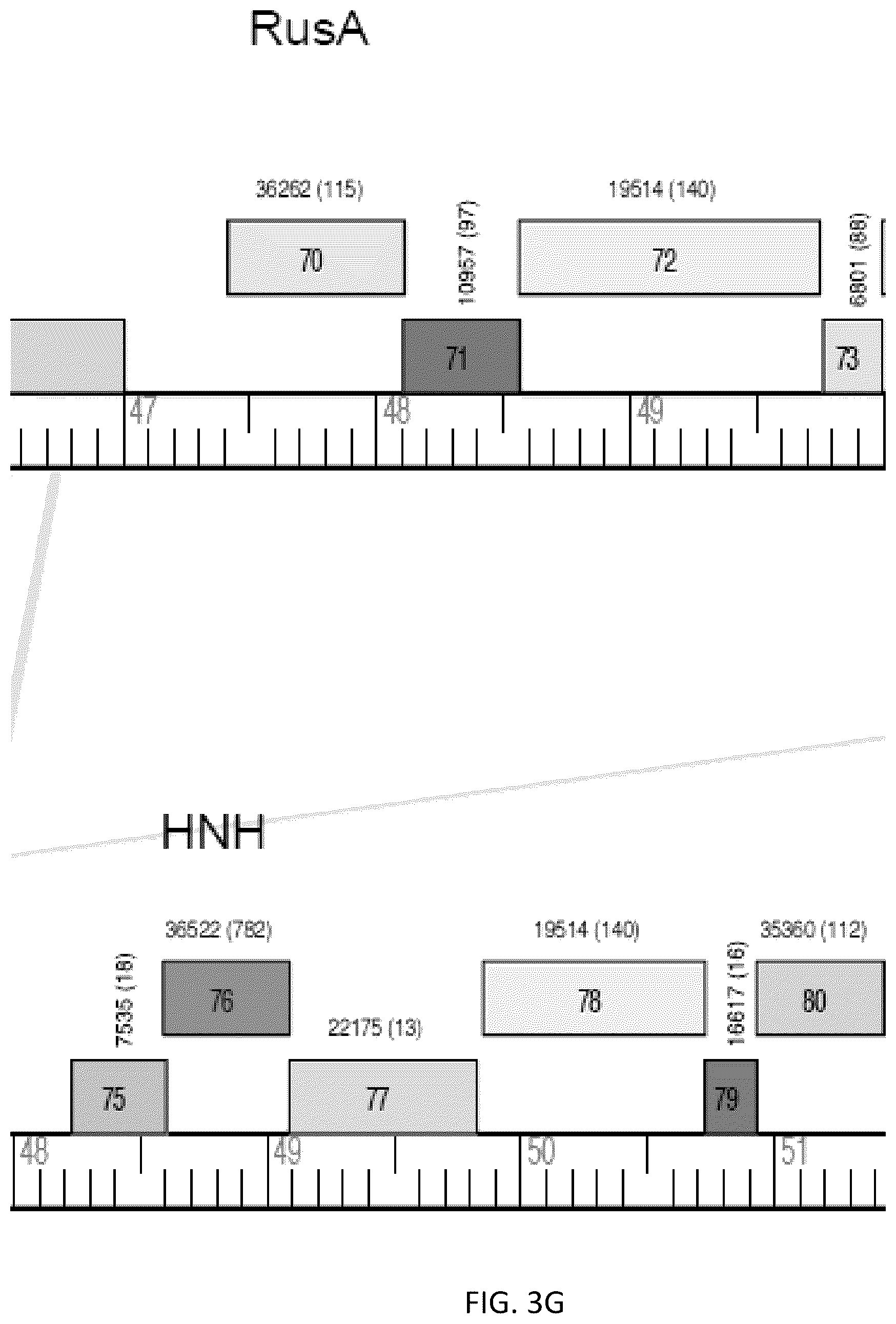 Patent US12576118 Figure 15 – Bacteriophages for the treatment of tuberculosis