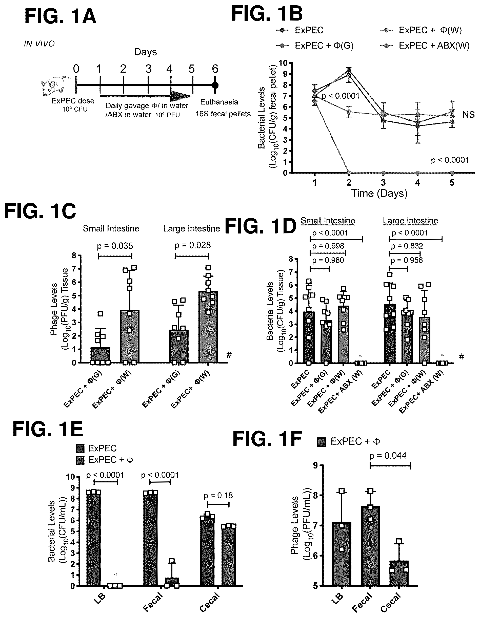 Patent US12576119 — Bacteriophage compositions and methods for treatment of bacterial infections — Figure 1