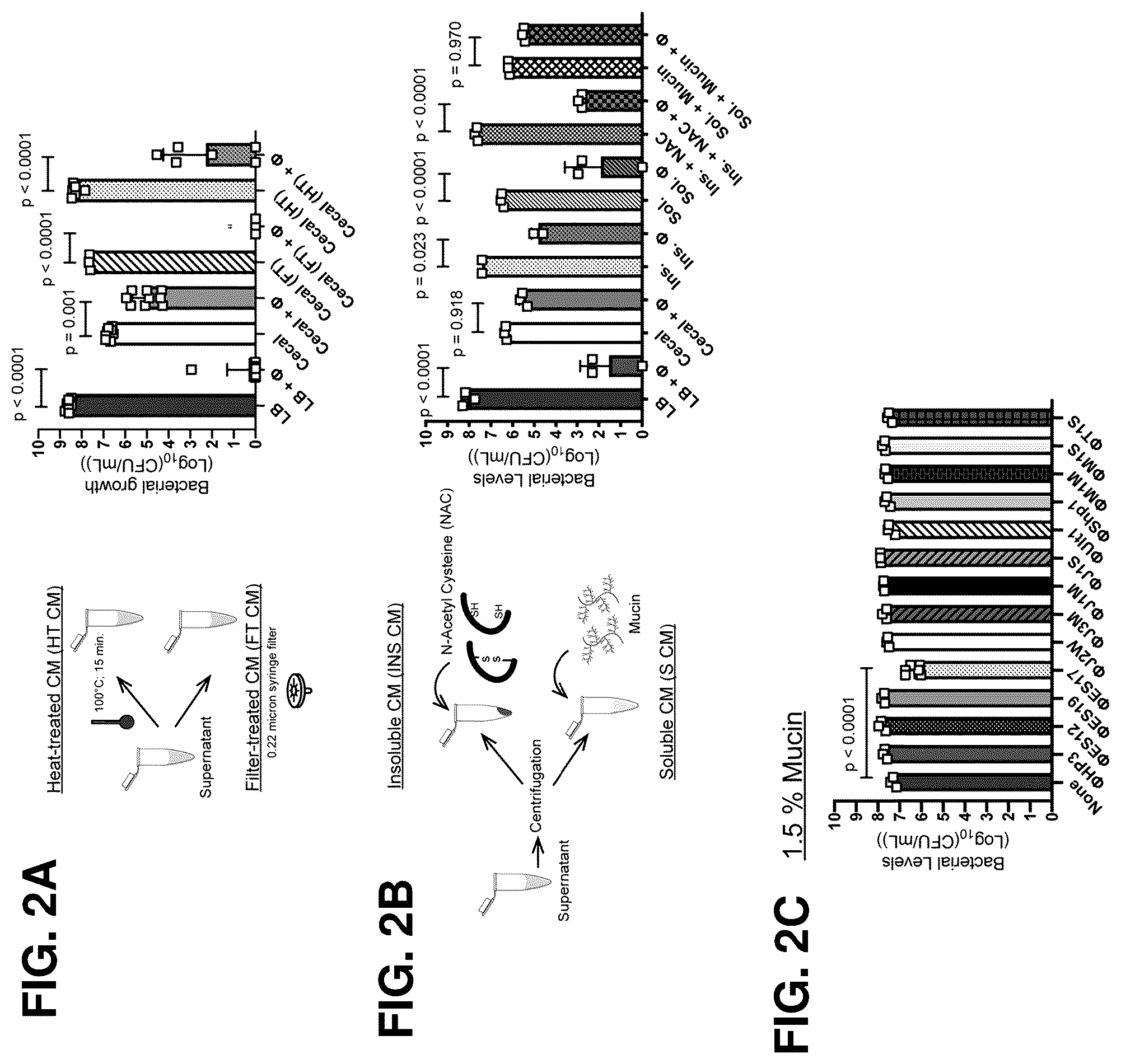 Patent US12576119 Figure 2 – Bacteriophage compositions and methods for treatment of bacterial infections