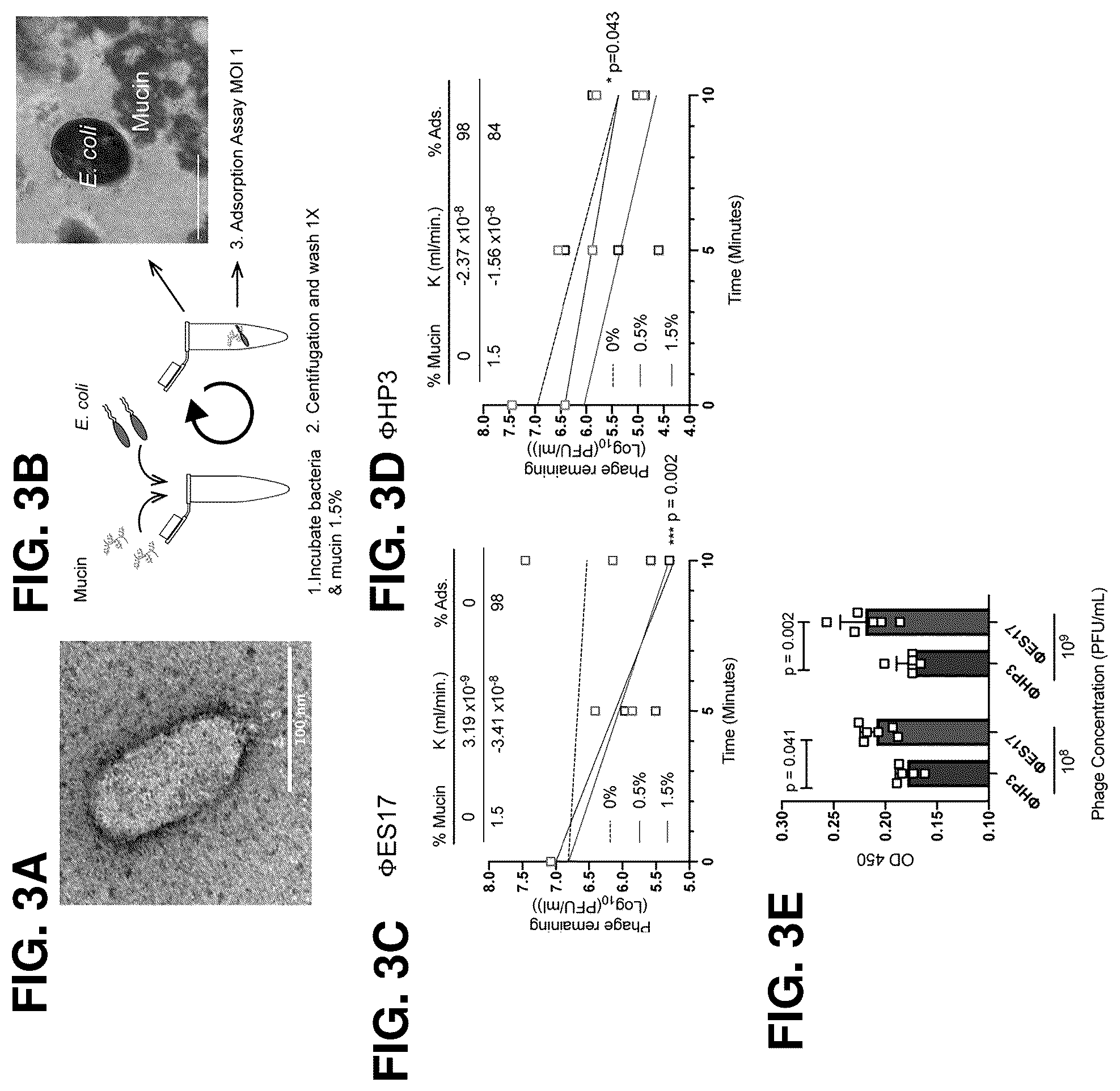 Patent US12576119 Figure 3 – Bacteriophage compositions and methods for treatment of bacterial infections