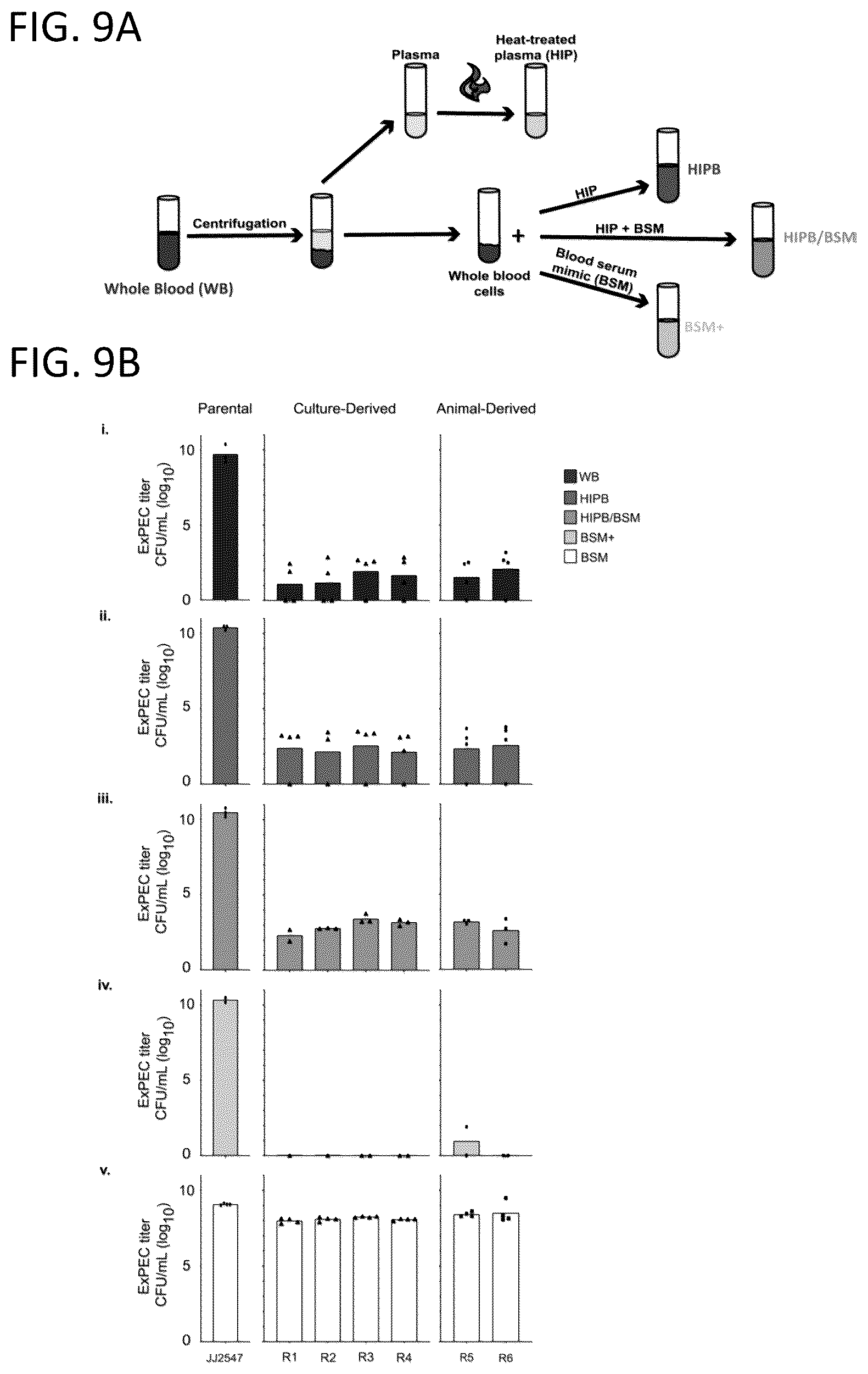 Patent US12576119 Figure 9 – Bacteriophage compositions and methods for treatment of bacterial infections