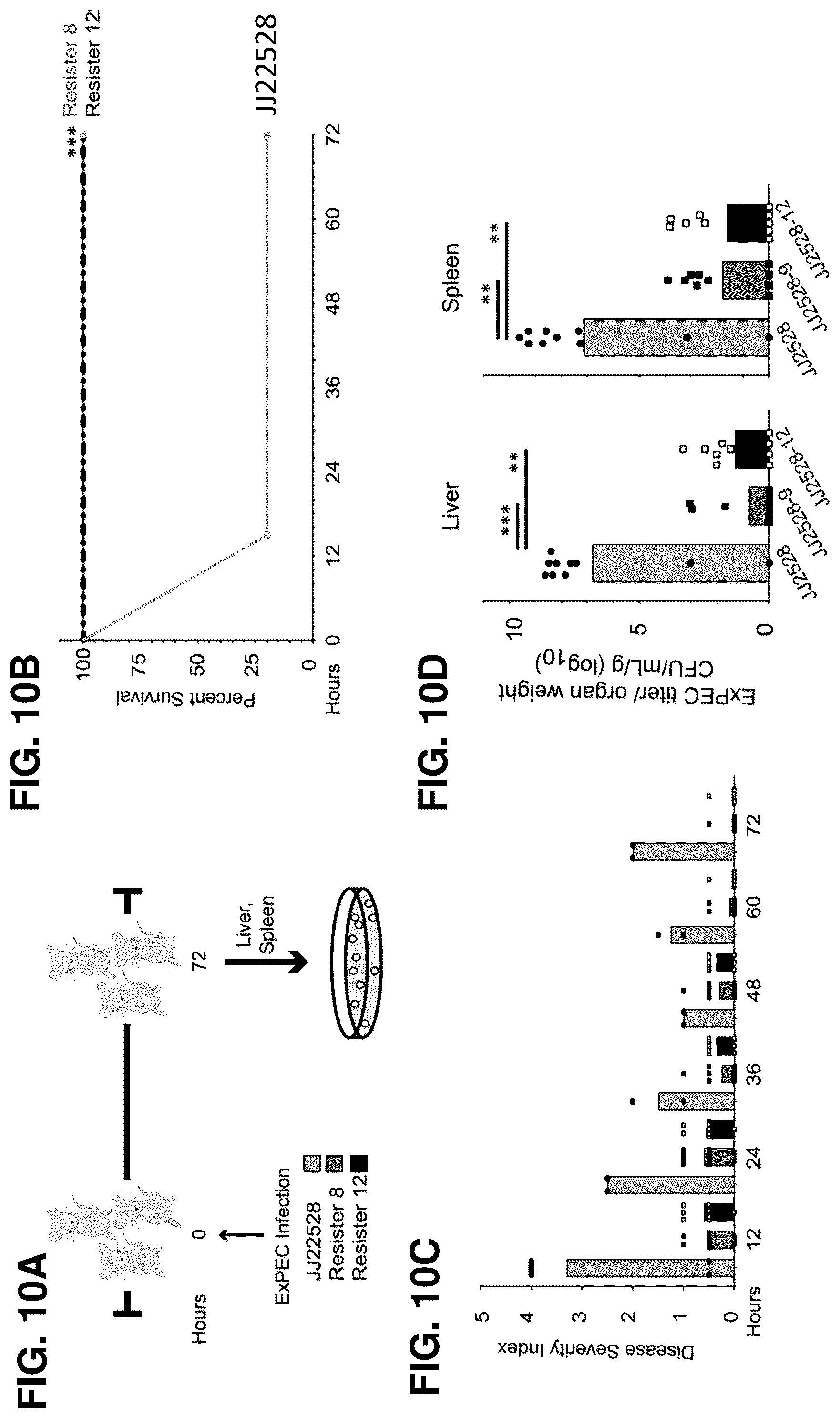 Patent US12576119 Figure 10 – Bacteriophage compositions and methods for treatment of bacterial infections