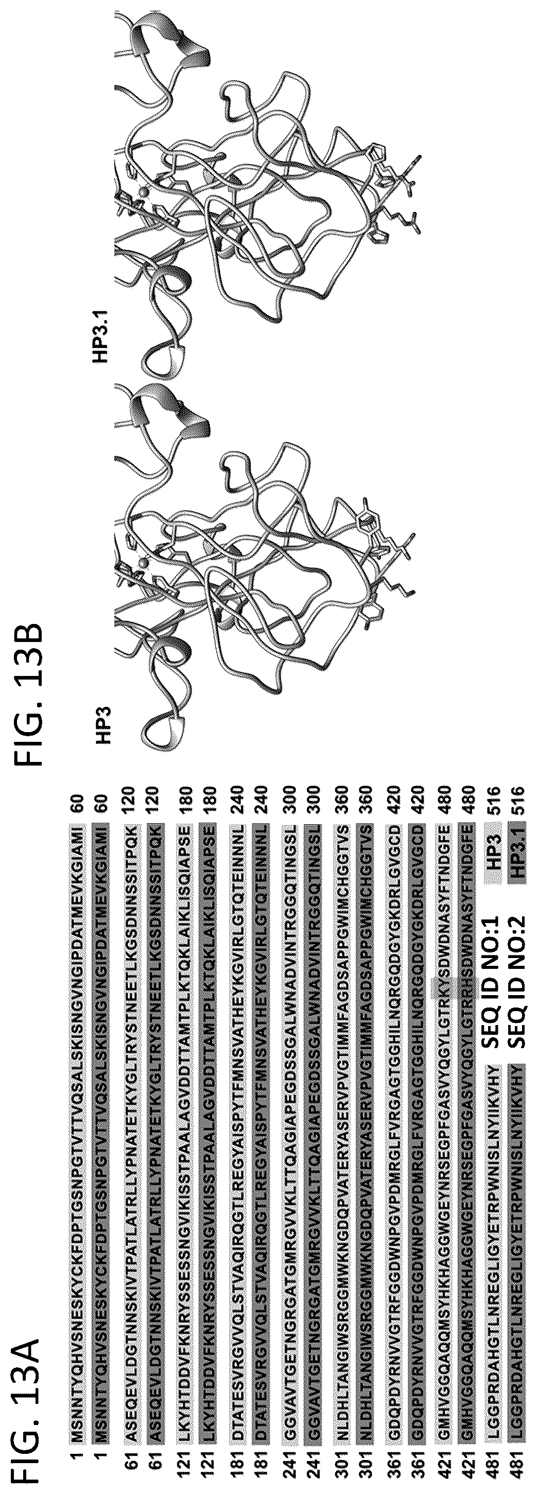 Patent US12576119 Figure 13 – Bacteriophage compositions and methods for treatment of bacterial infections