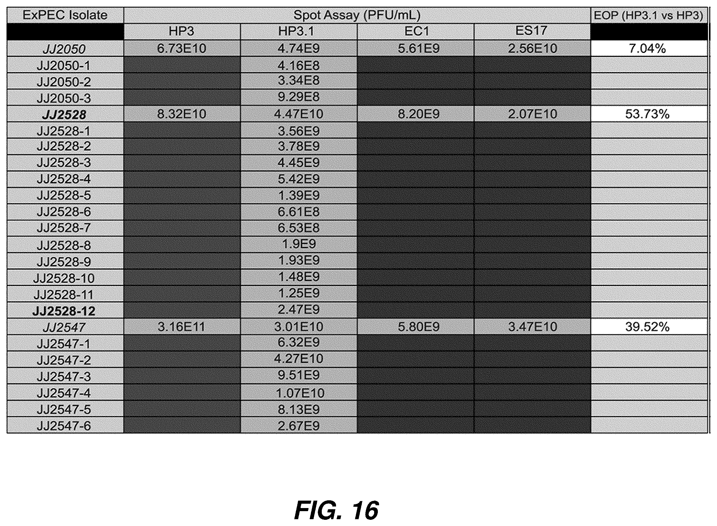 Patent US12576119 Figure 16 – Bacteriophage compositions and methods for treatment of bacterial infections