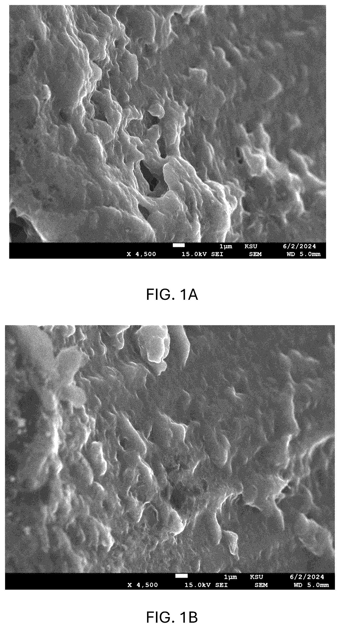 Patent US12576121 Figure 1 – Acacia nilotica based hydrogel and method of making the same