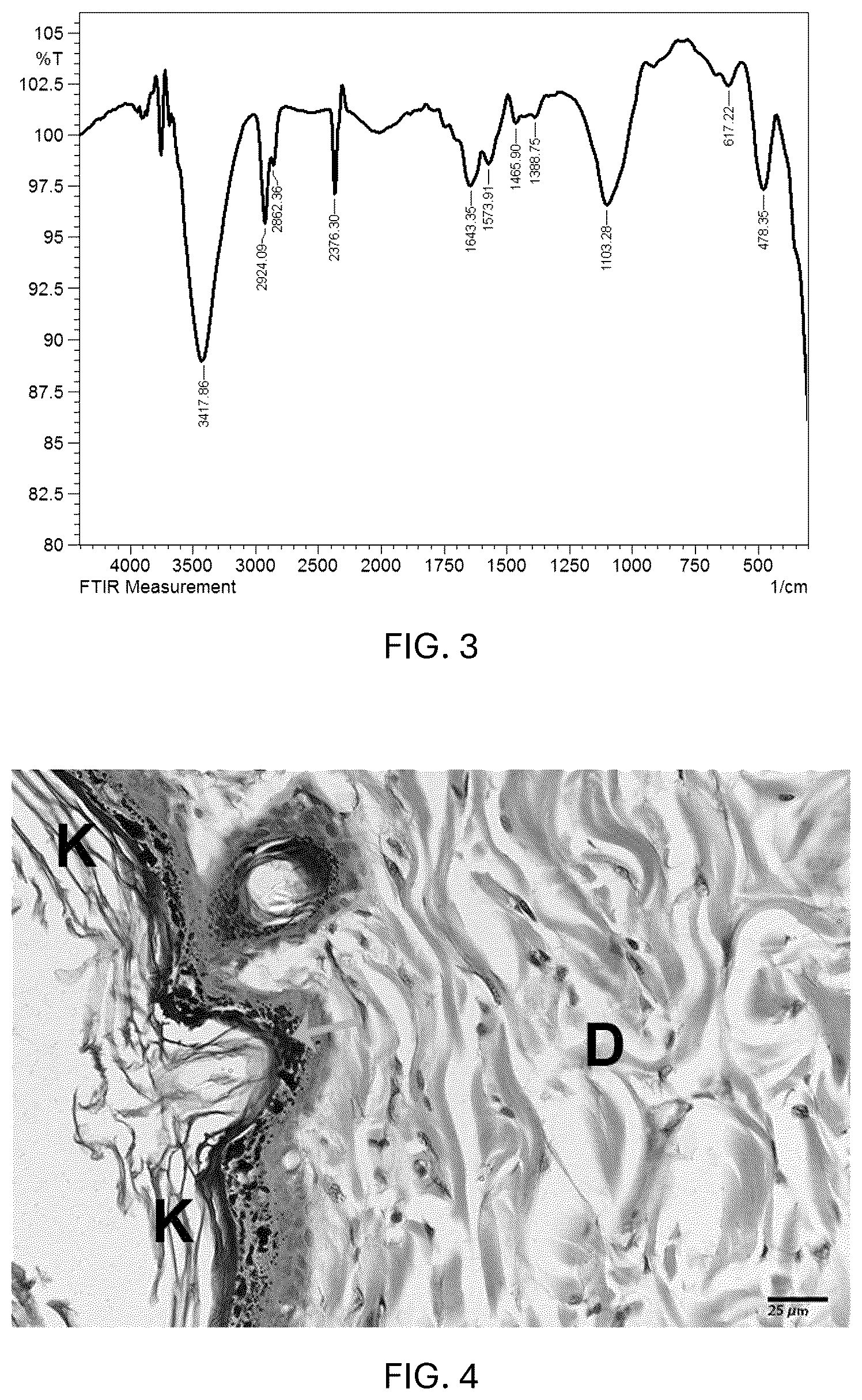 Patent US12576121 Figure 3 – Acacia nilotica based hydrogel and method of making the same