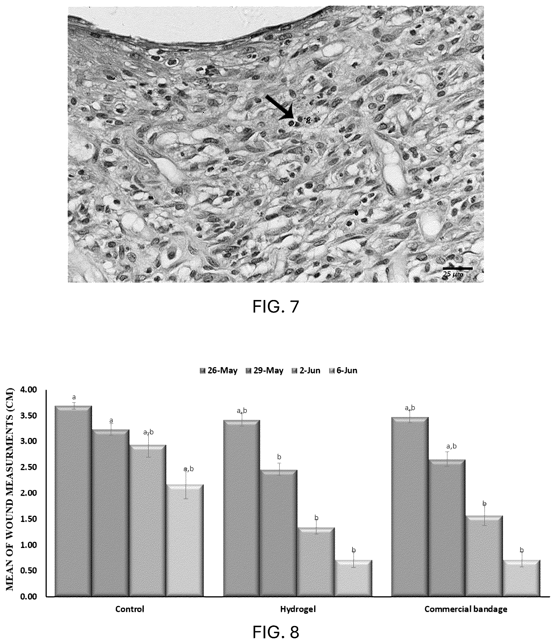 Patent US12576121 Figure 5 – Acacia nilotica based hydrogel and method of making the same