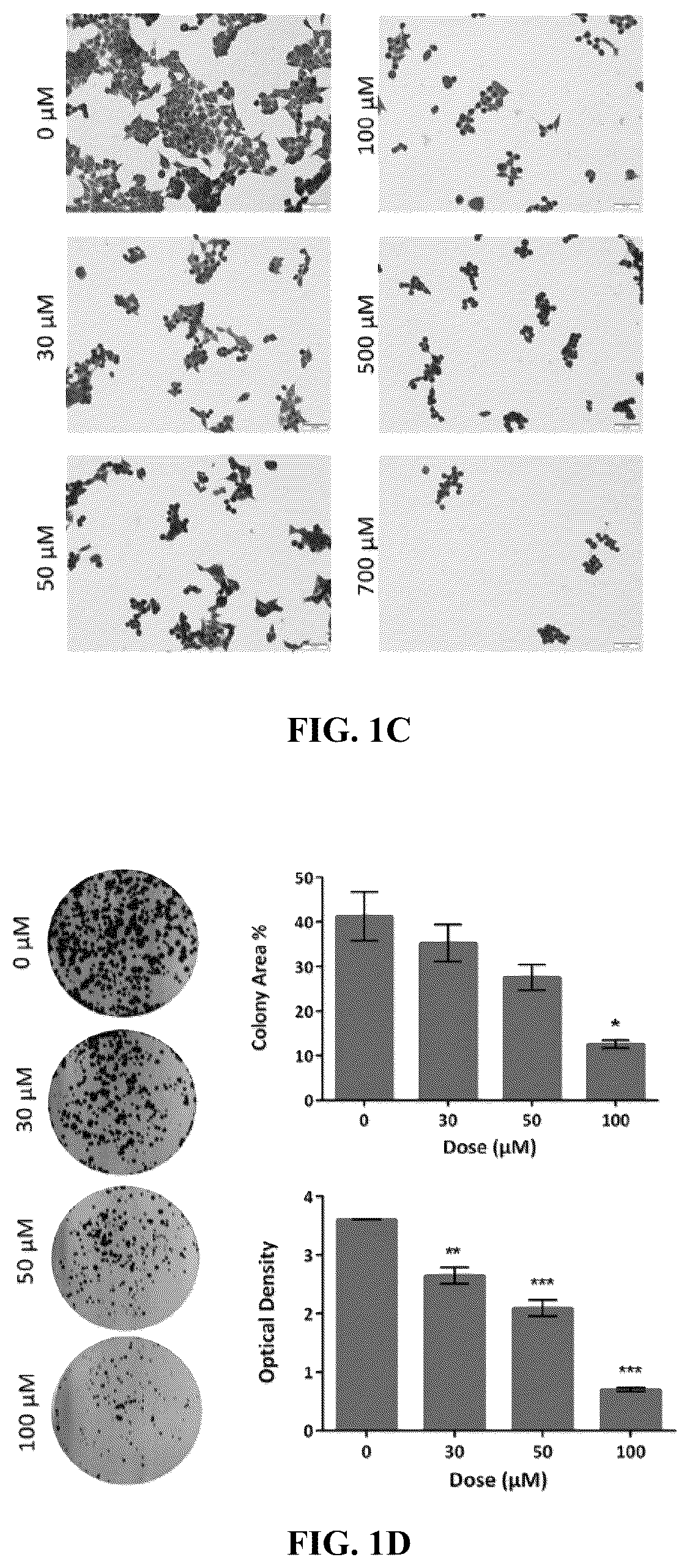 Patent US12576122 Figure 2 – Combination therapy for cancer