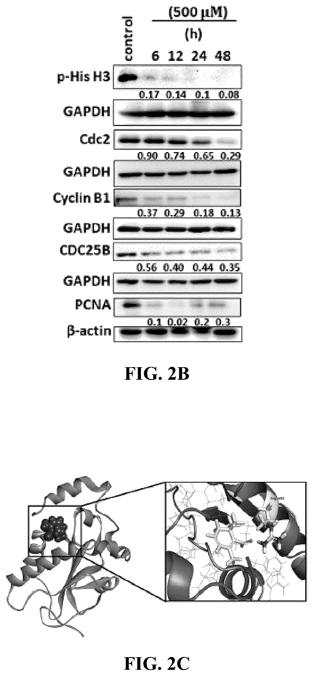 Patent US12576122 Figure 4 – Combination therapy for cancer