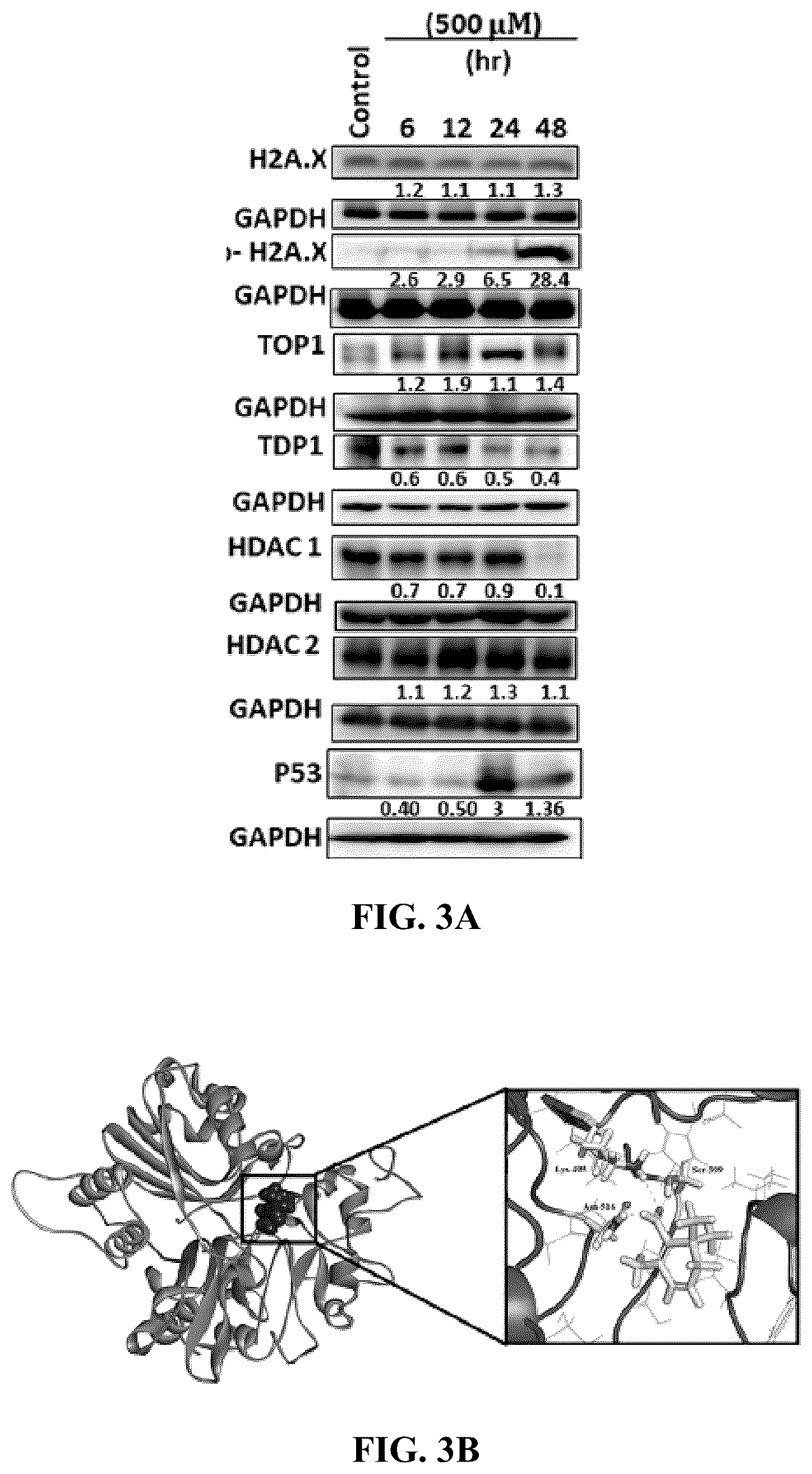 Patent US12576122 Figure 5 – Combination therapy for cancer