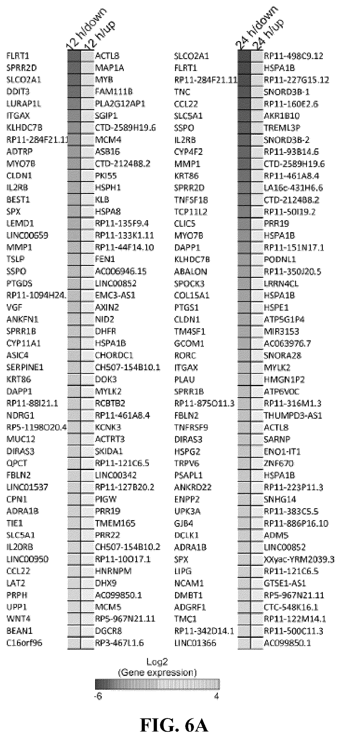 Patent US12576122 Figure 11 – Combination therapy for cancer