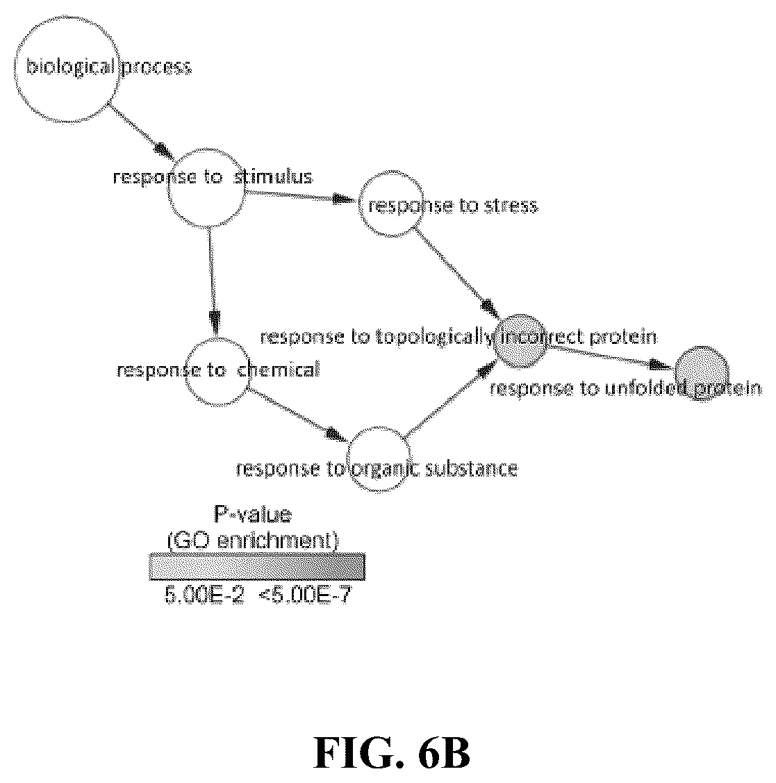 Patent US12576122 Figure 12 – Combination therapy for cancer