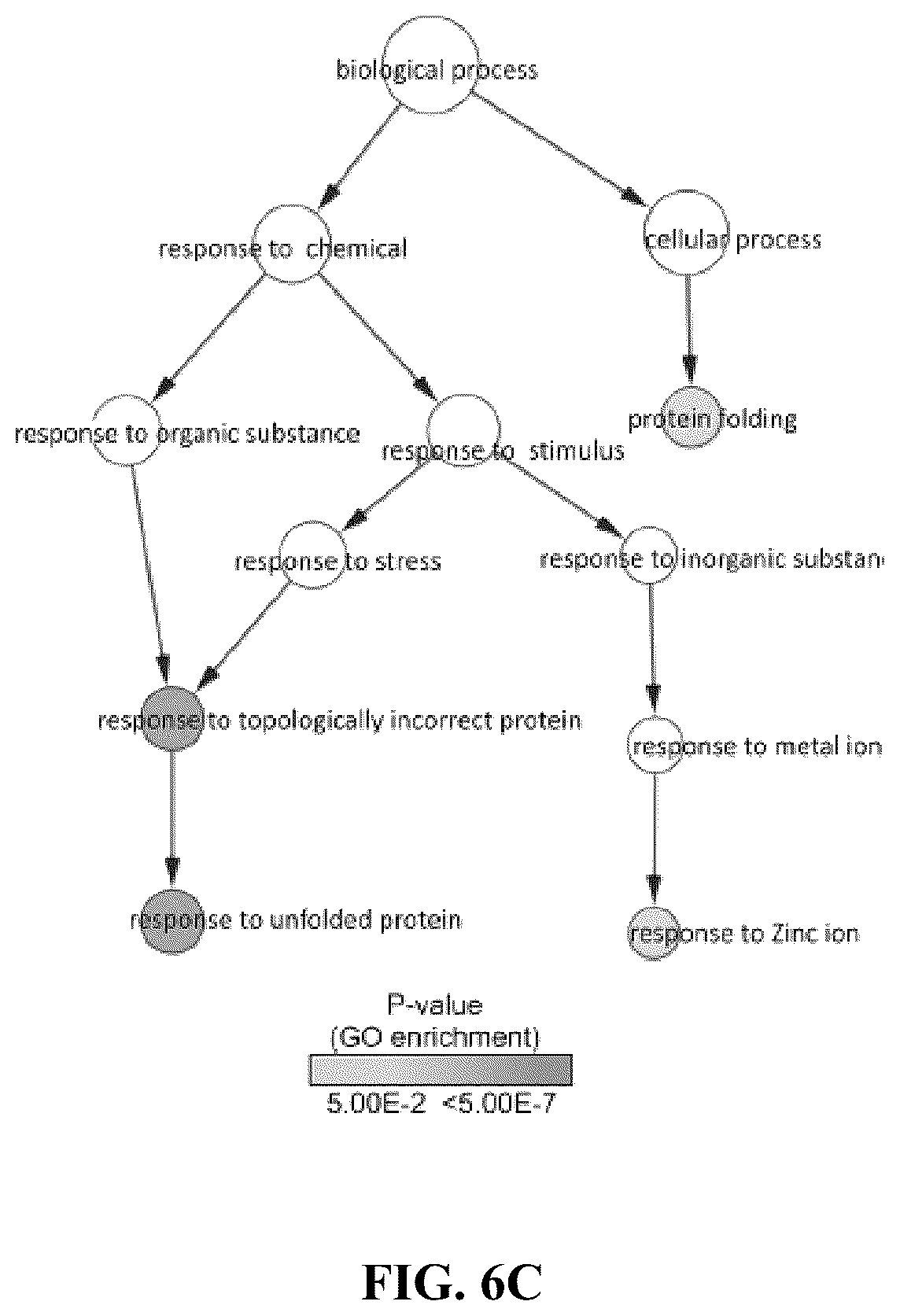 Patent US12576122 Figure 13 – Combination therapy for cancer