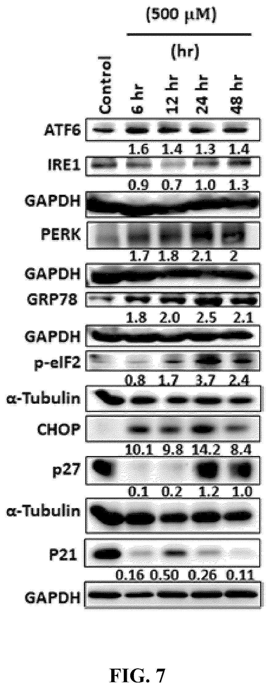 Patent US12576122 Figure 14 – Combination therapy for cancer