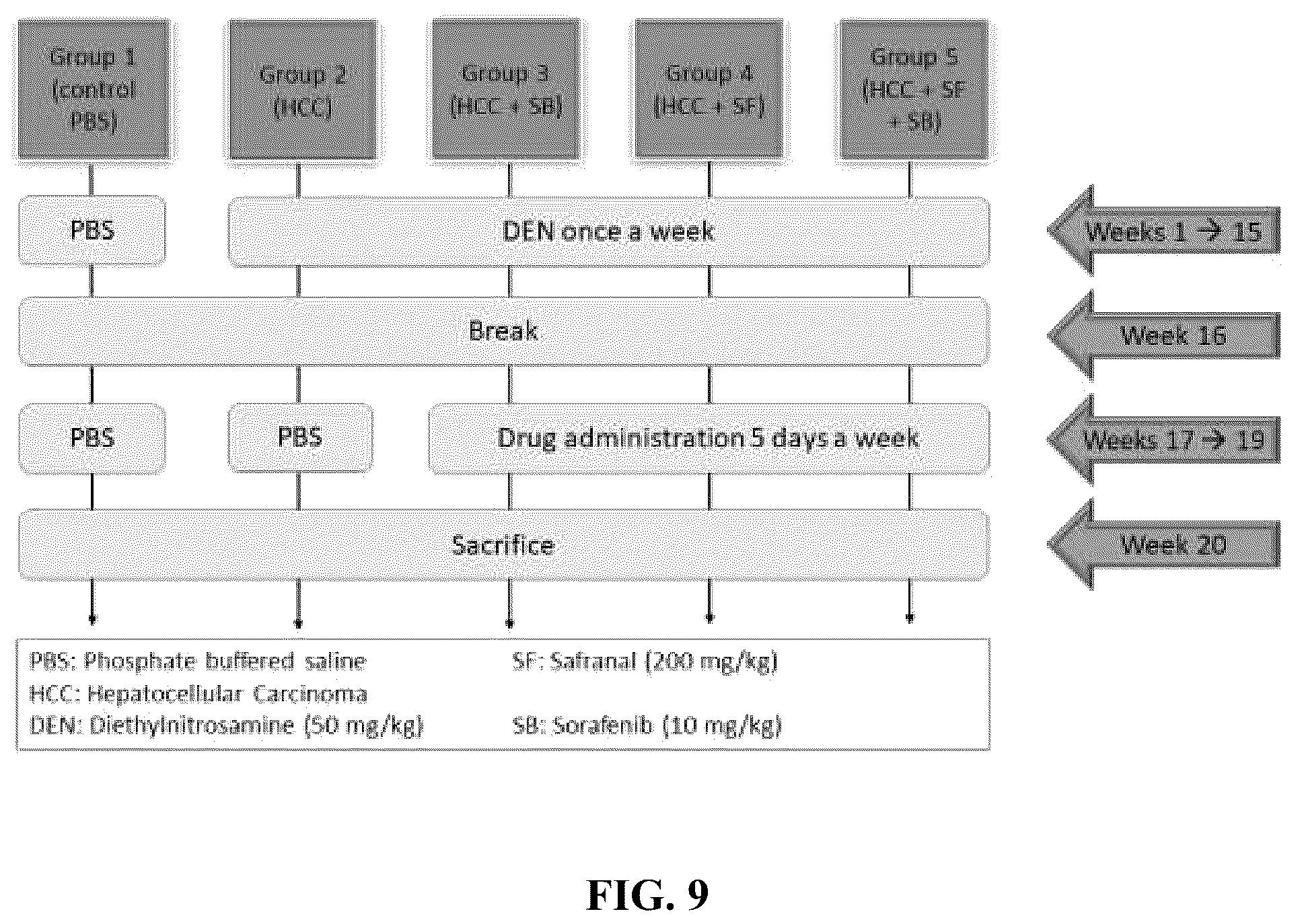 Patent US12576122 Figure 16 – Combination therapy for cancer
