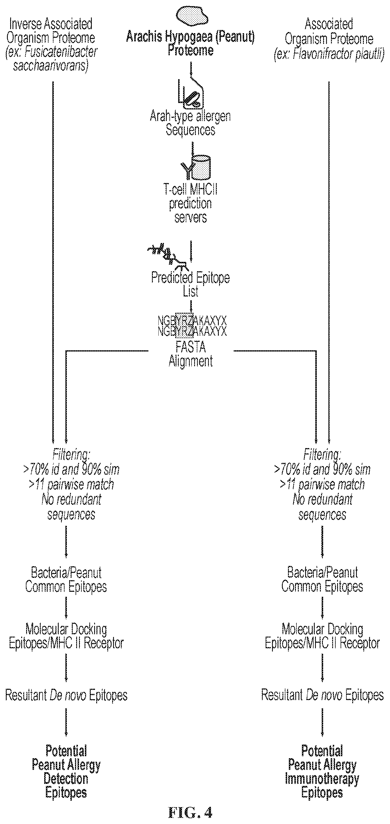 Patent US12576123 Figure 4 – Epitope-based approach for allergy treatments and inhibitors for Crohn's disease