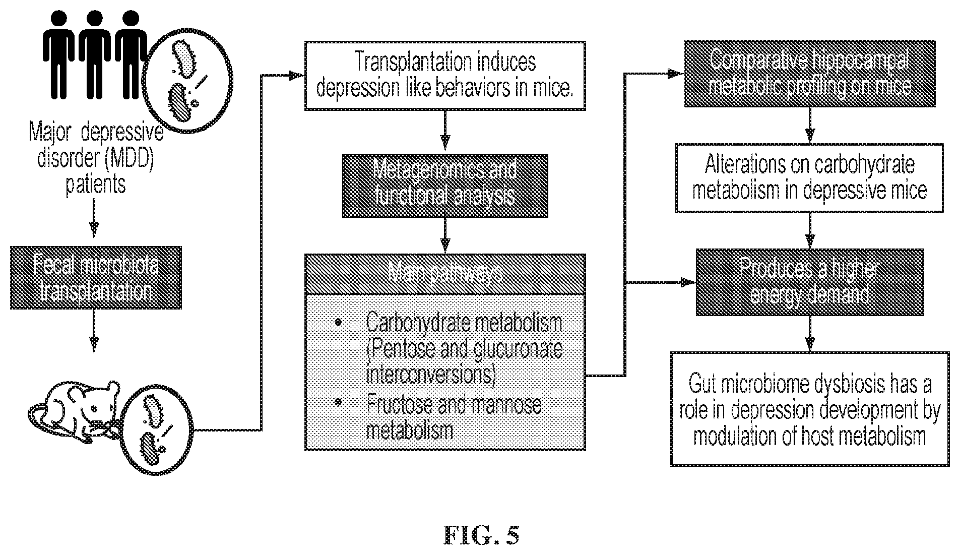 Patent US12576123 Figure 5 – Epitope-based approach for allergy treatments and inhibitors for Crohn's disease