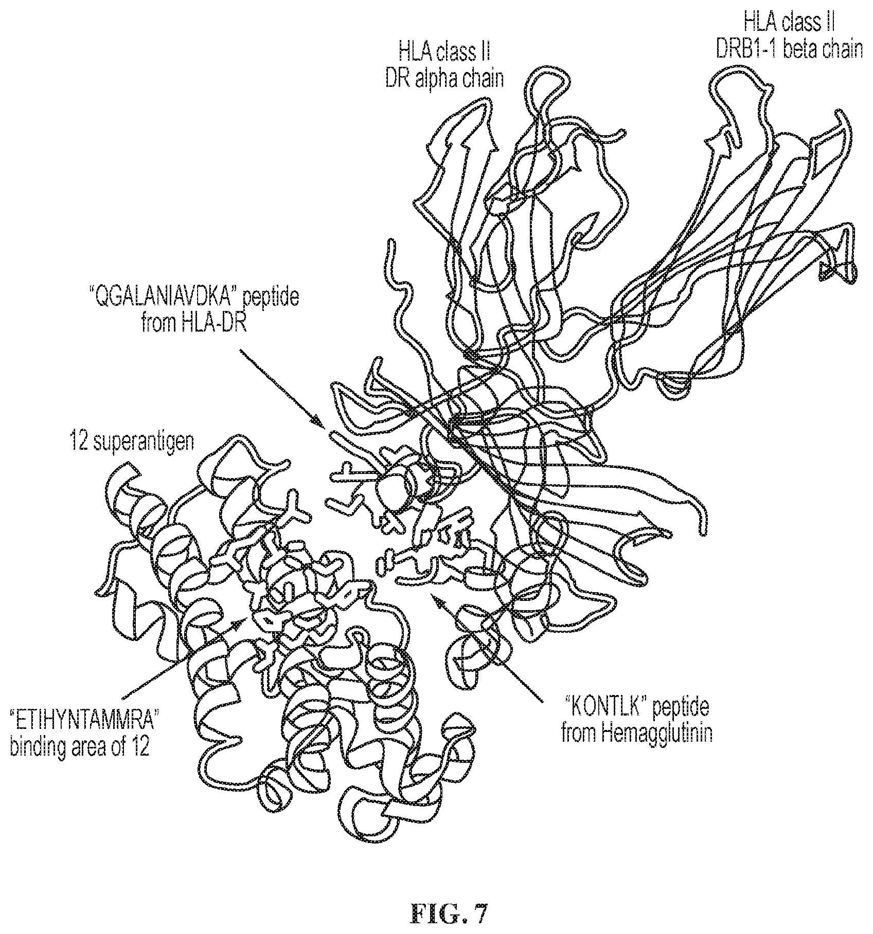 Patent US12576123 Figure 7 – Epitope-based approach for allergy treatments and inhibitors for Crohn's disease