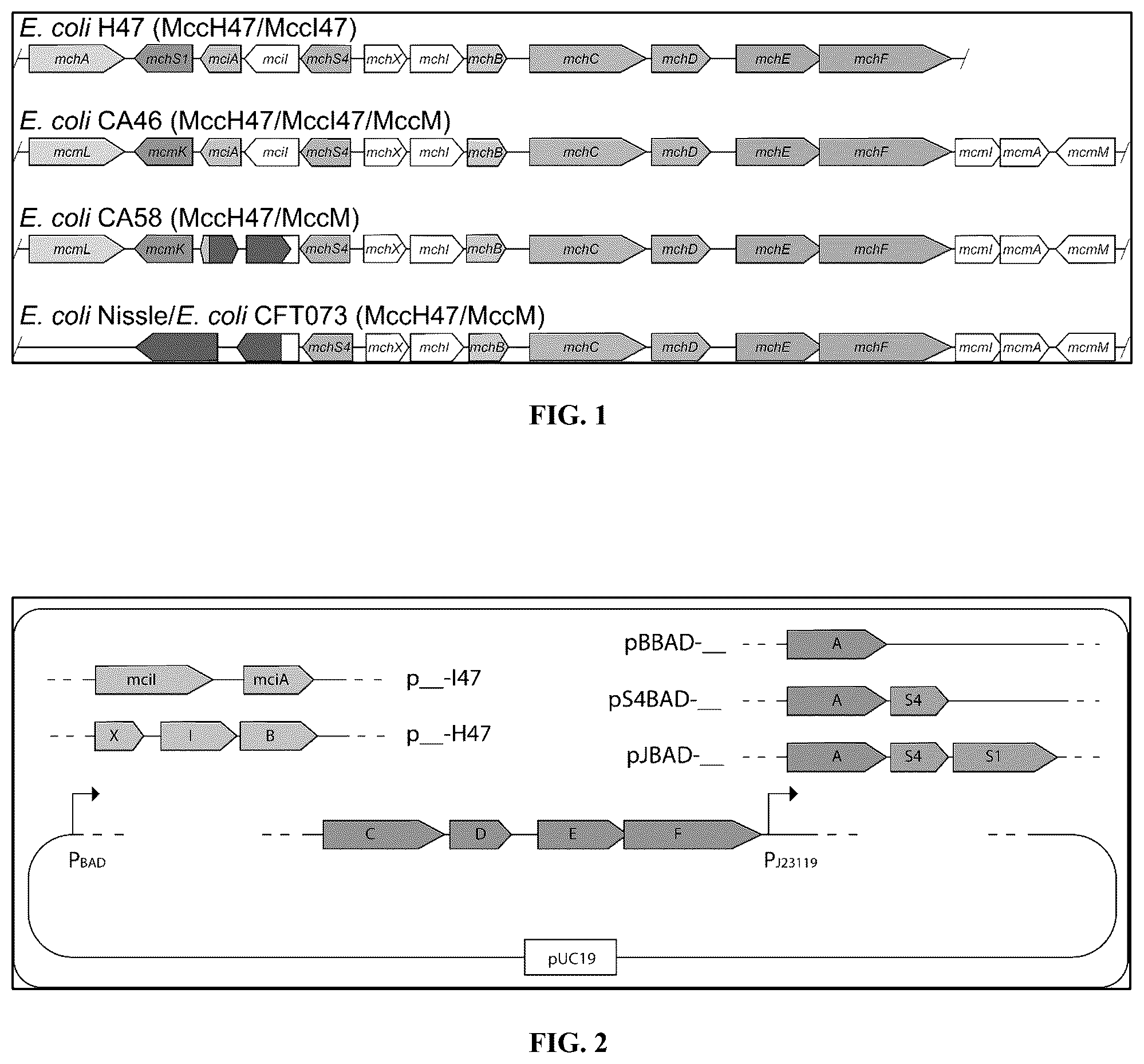 Patent US12576128 Figure 1 – Genetically engineered microorganisms and methods of use