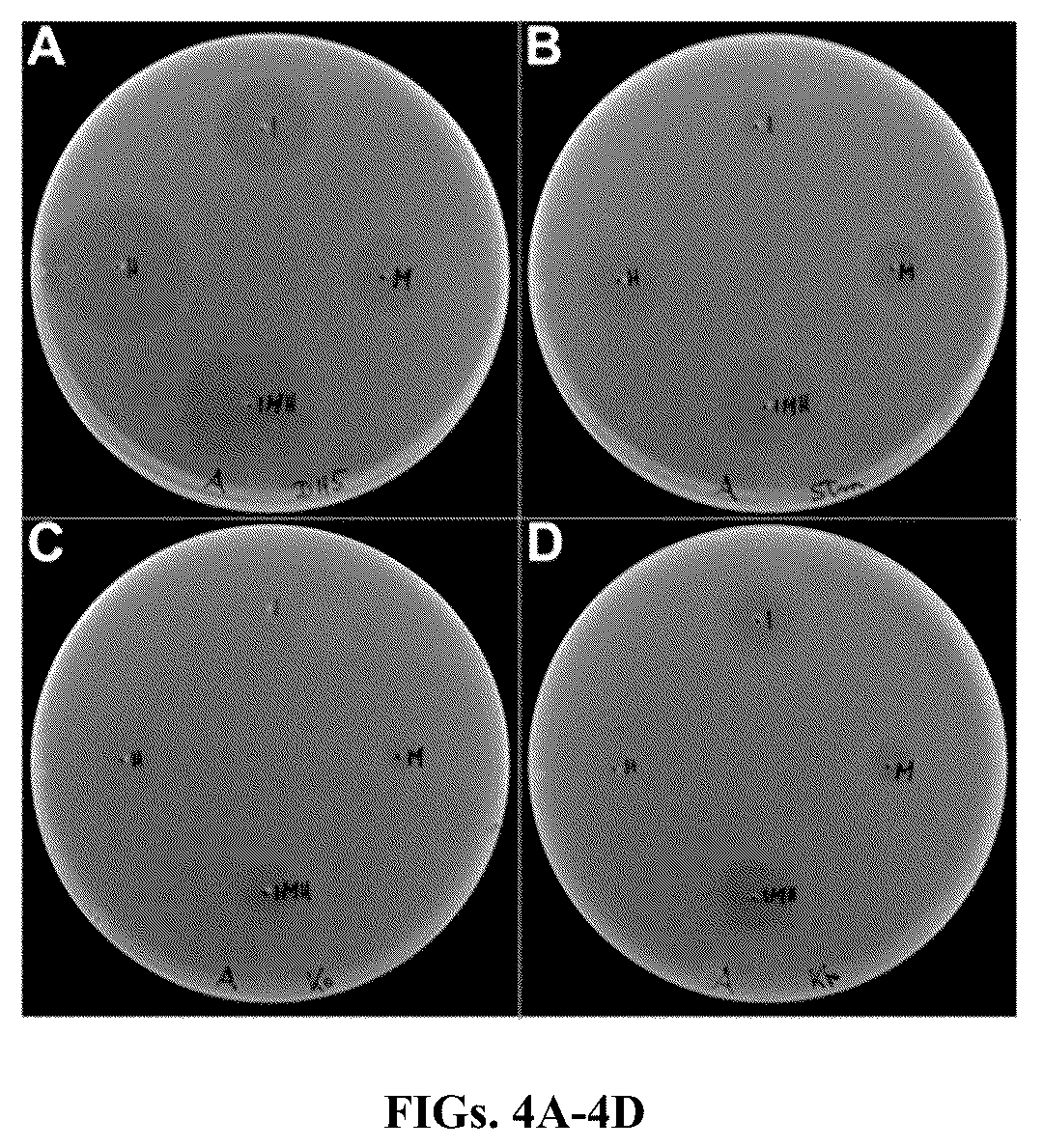 Patent US12576128 Figure 3 – Genetically engineered microorganisms and methods of use