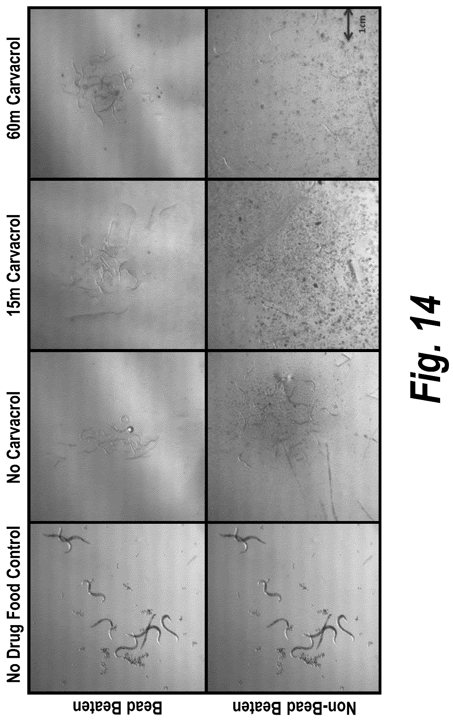 Patent US12576129 Figure 17 – Anthelmintic compositions and methods