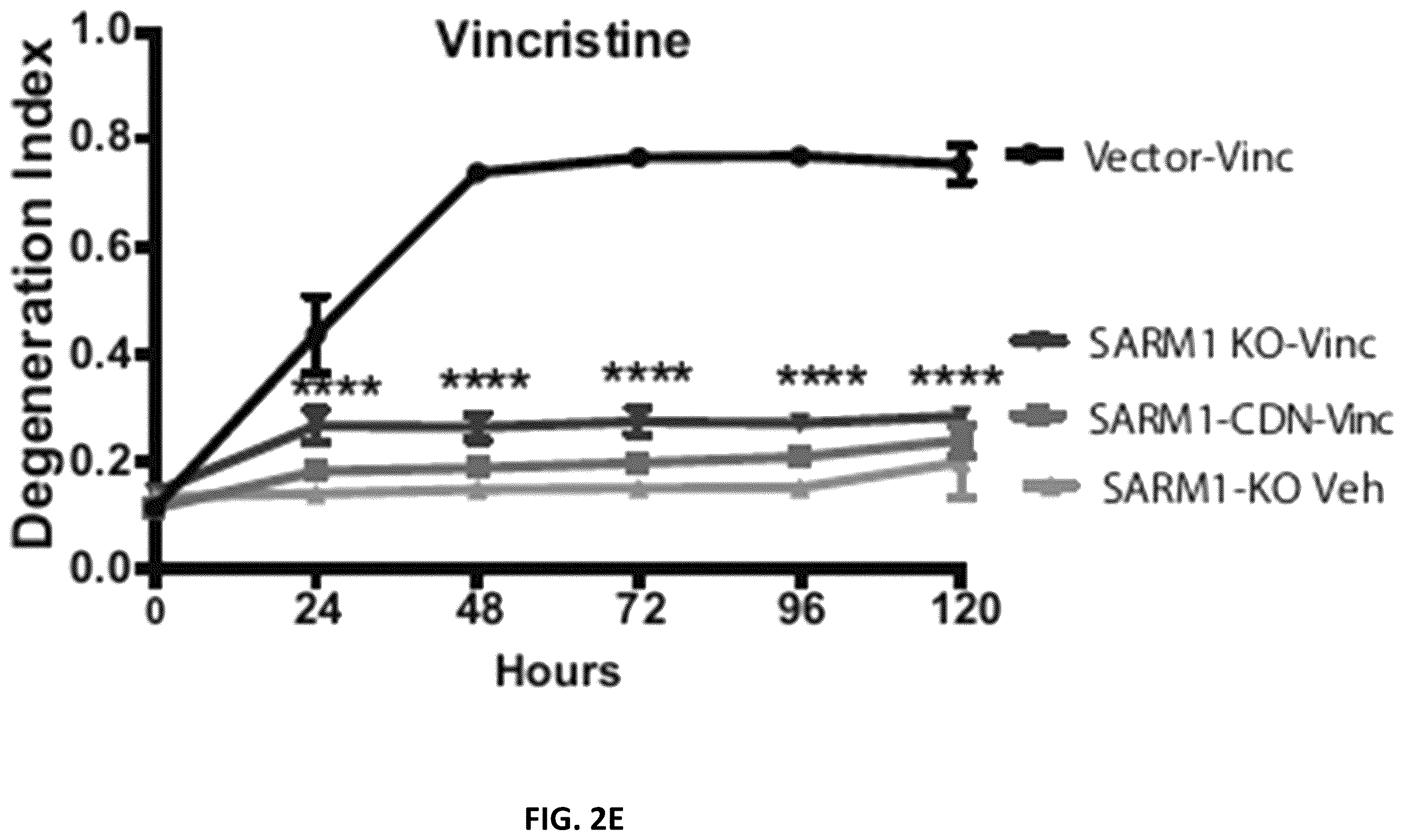 Patent US12576130 Figure 6 – Dominant negative SARM1 molecules comprising a substitution at position 189, 190, 193, 194, 570 and/or 685 of SARM1