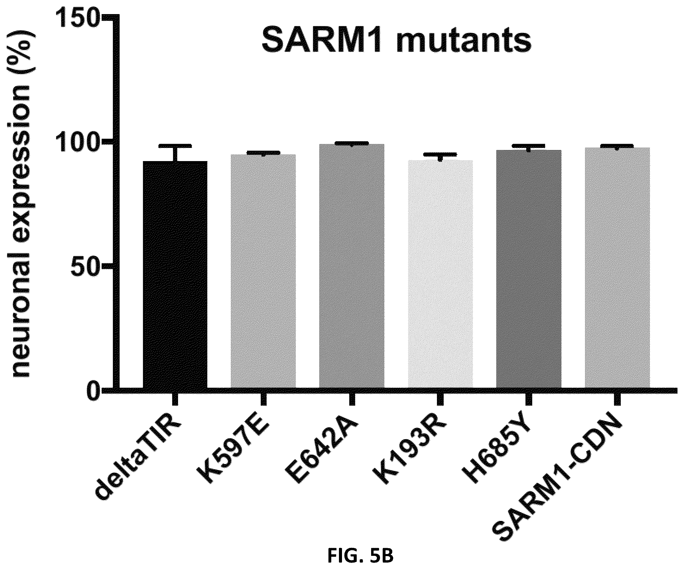 Patent US12576130 Figure 17 – Dominant negative SARM1 molecules comprising a substitution at position 189, 190, 193, 194, 570 and/or 685 of SARM1