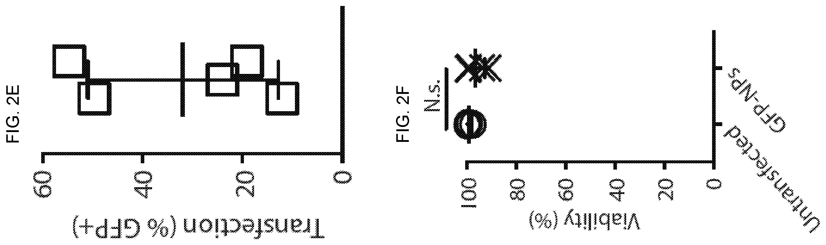 Patent US12576131 Figure 5 – Altering inflammatory states of immune cells in vivo by modulating cellular activation states