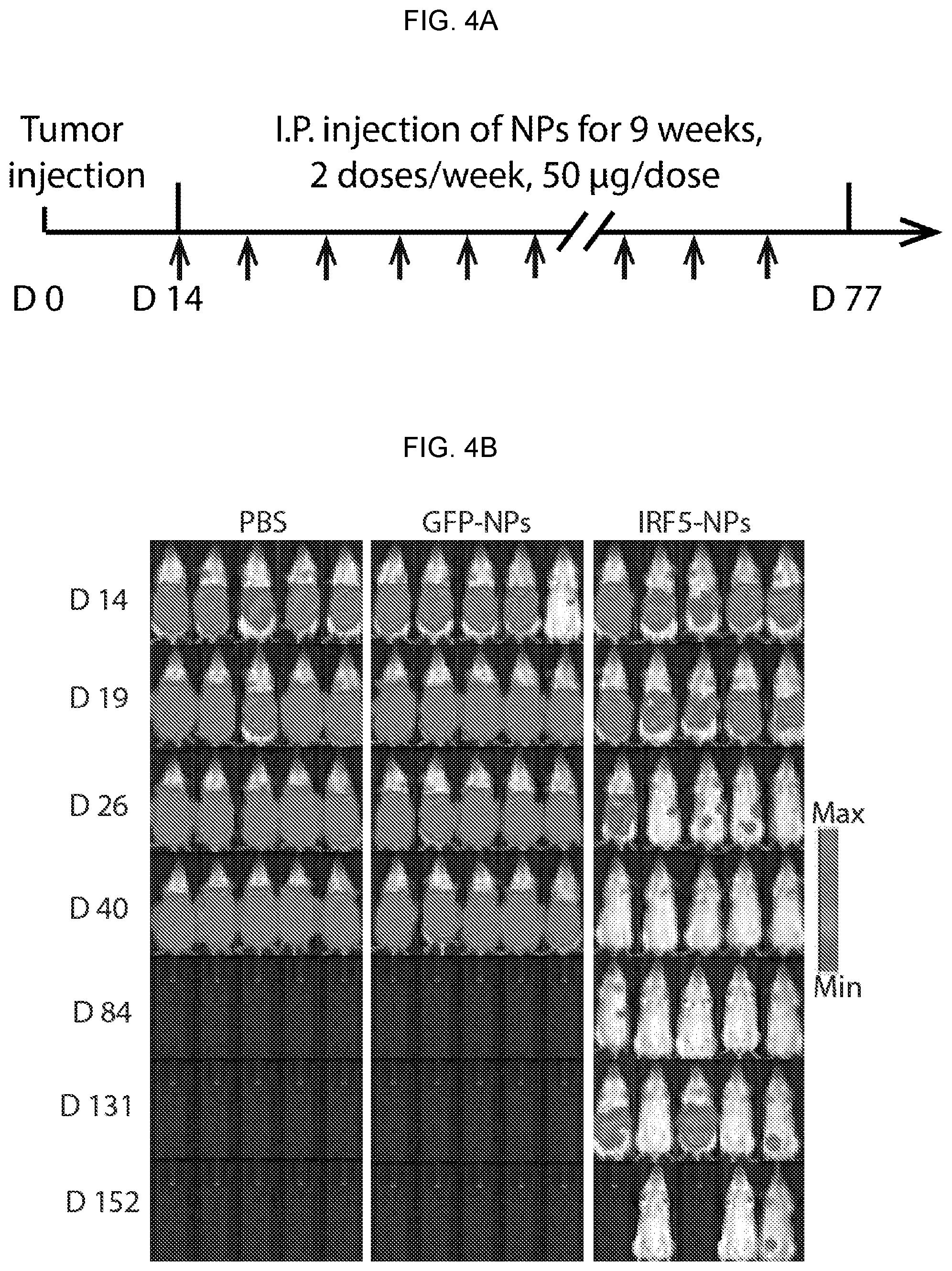 Patent US12576131 Figure 10 – Altering inflammatory states of immune cells in vivo by modulating cellular activation states