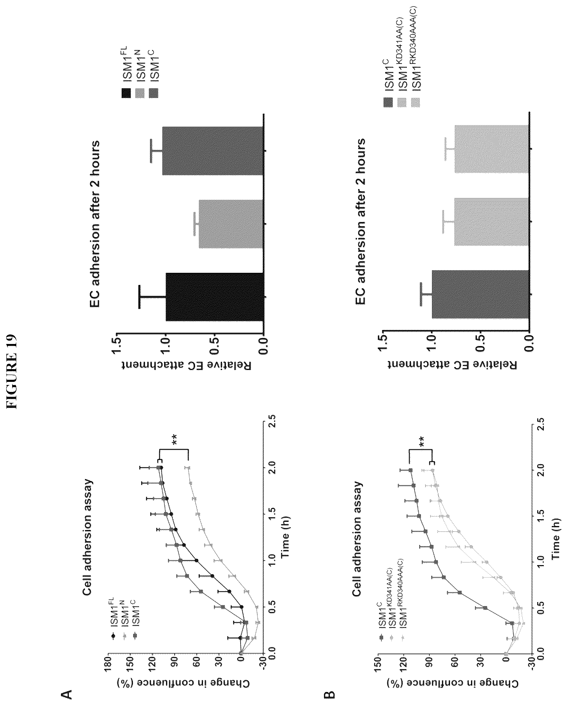 Patent US12576132 Figure 19 – Isthmin 1 for treatment of lung inflammation