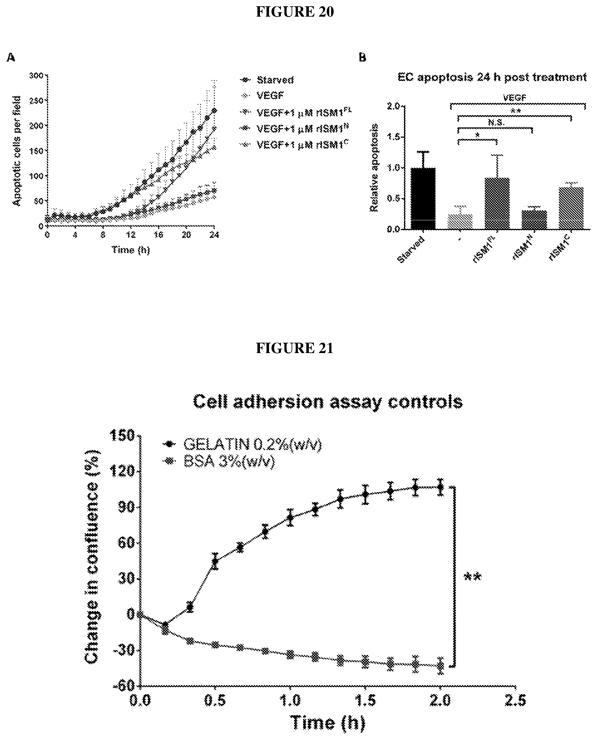 Patent US12576132 Figure 20 – Isthmin 1 for treatment of lung inflammation