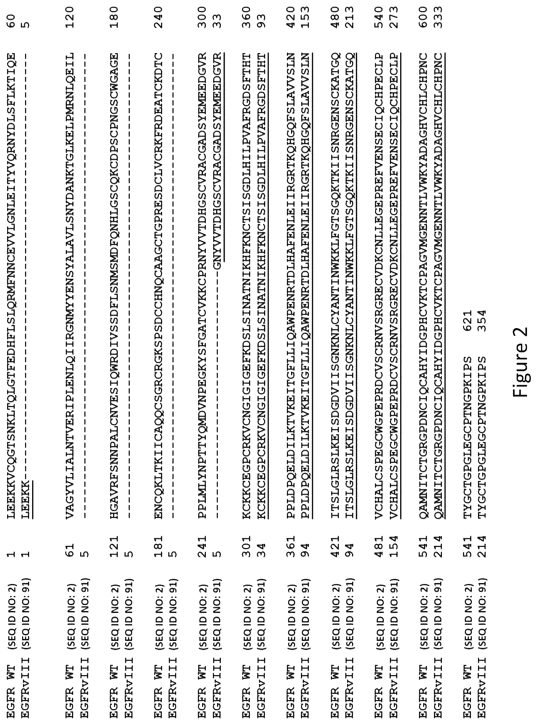 Patent US12576133 Figure 4 – Antigen-binding agents that specifically bind epidermal growth factor receptor variant III