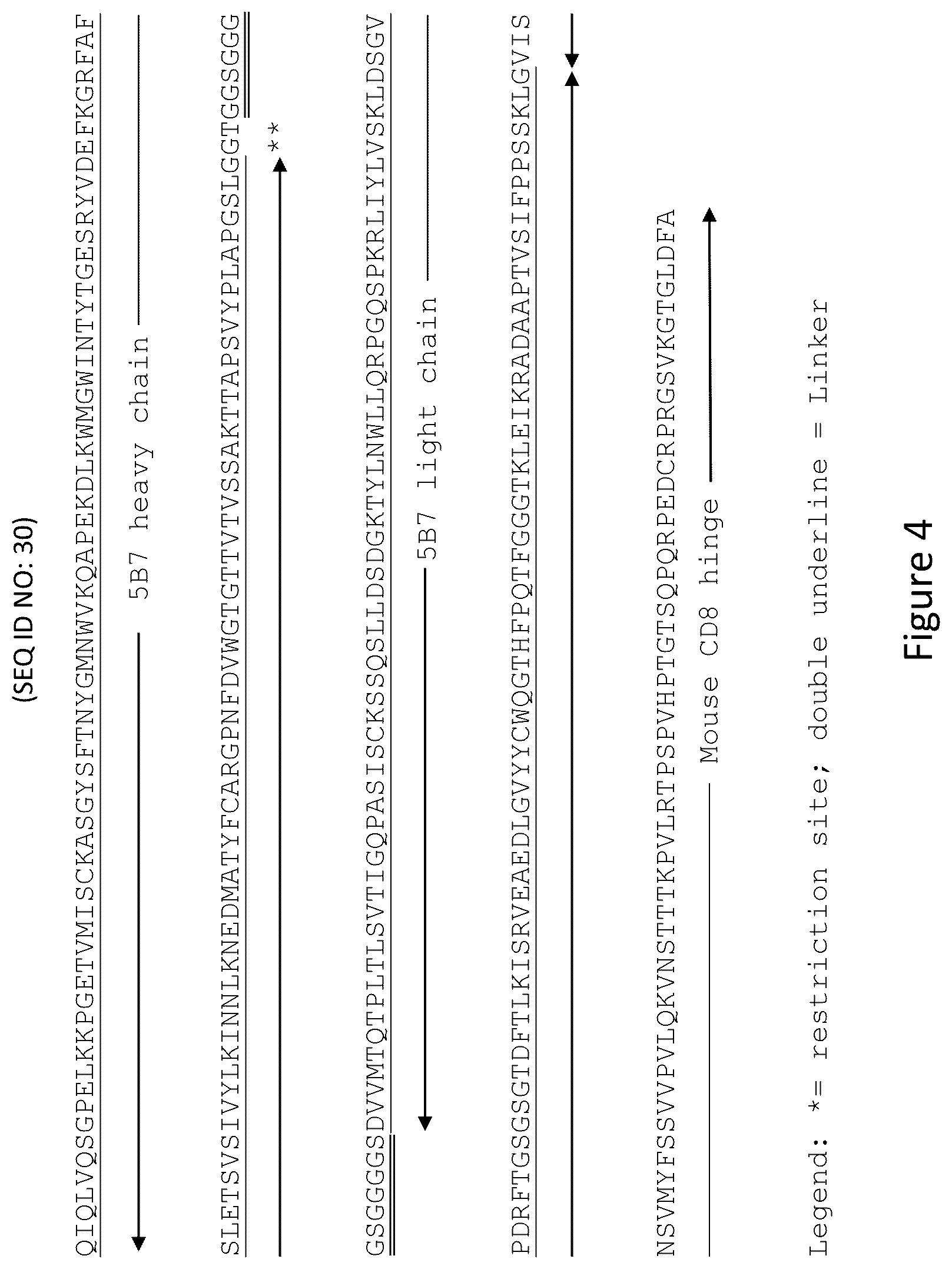 Patent US12576133 Figure 7 – Antigen-binding agents that specifically bind epidermal growth factor receptor variant III