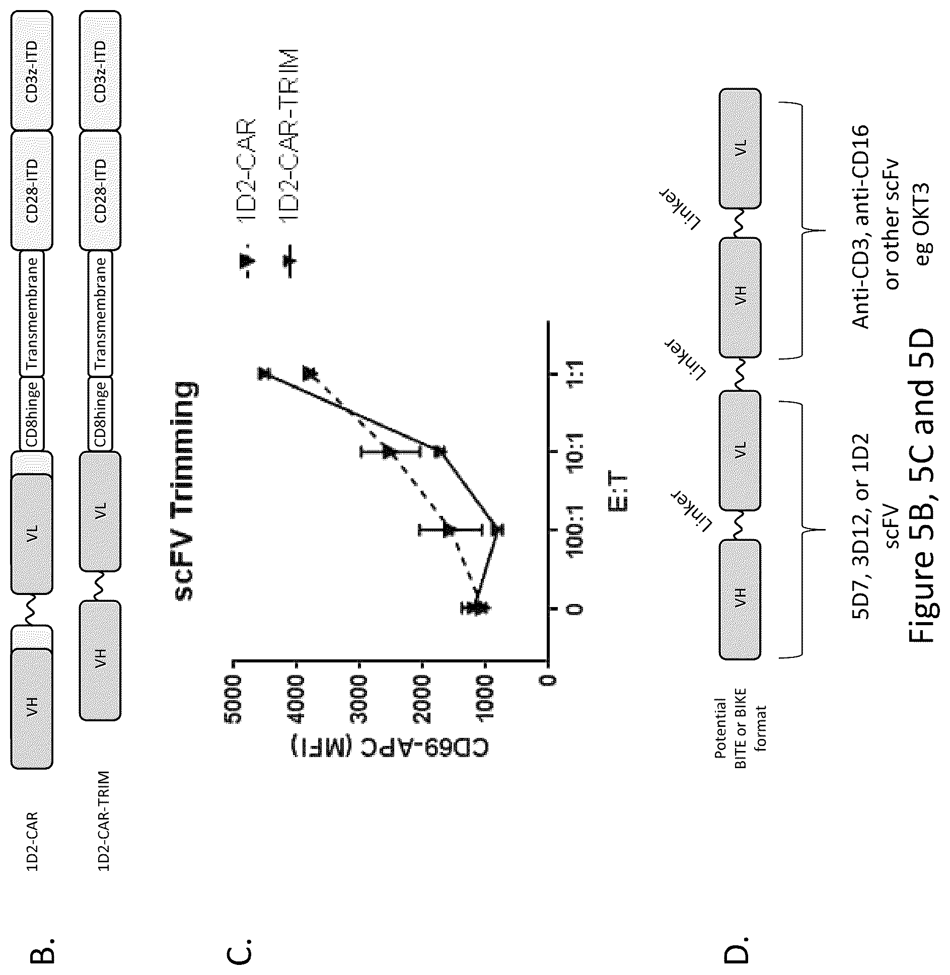 Patent US12576133 Figure 9 – Antigen-binding agents that specifically bind epidermal growth factor receptor variant III