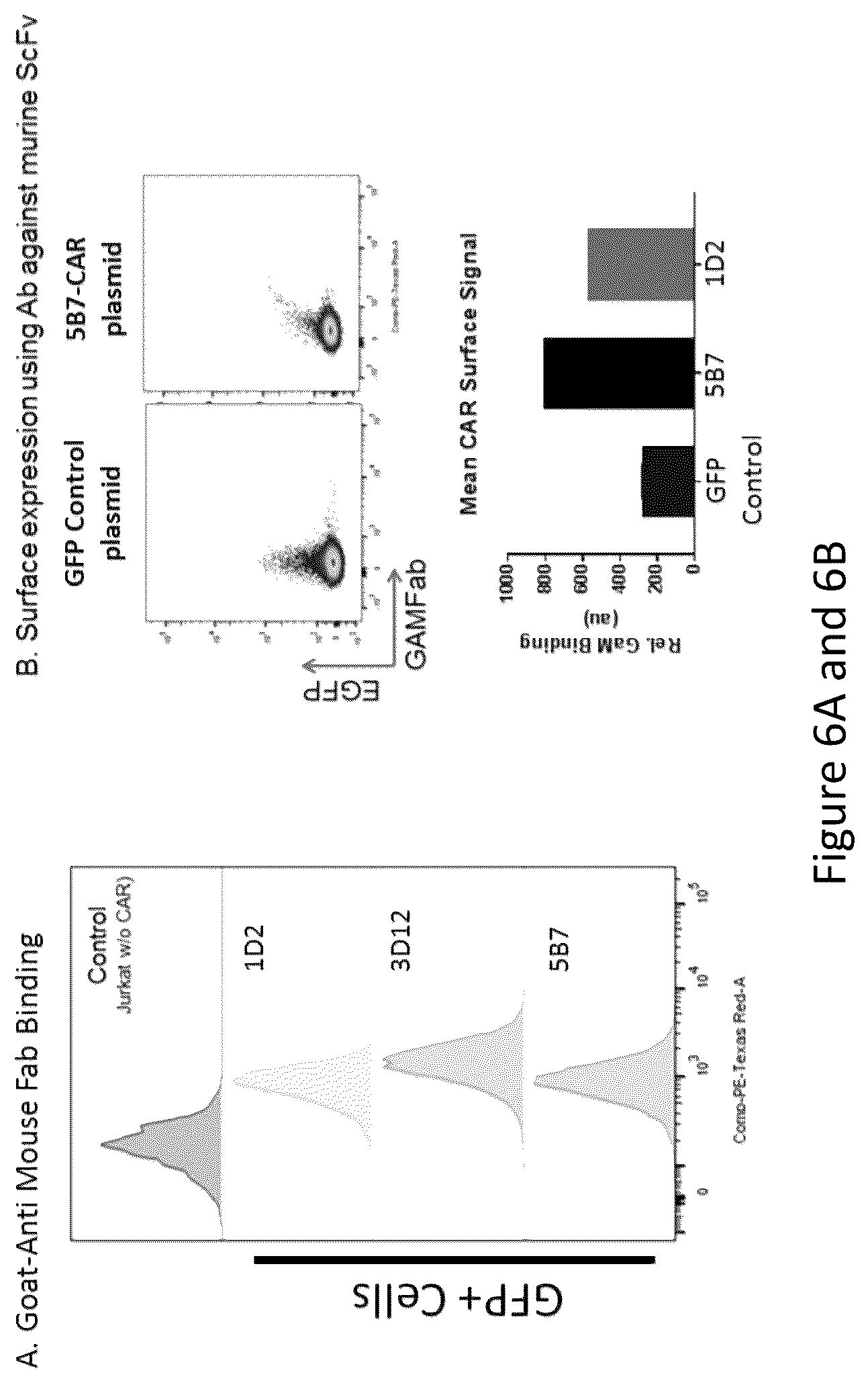Patent US12576133 Figure 10 – Antigen-binding agents that specifically bind epidermal growth factor receptor variant III