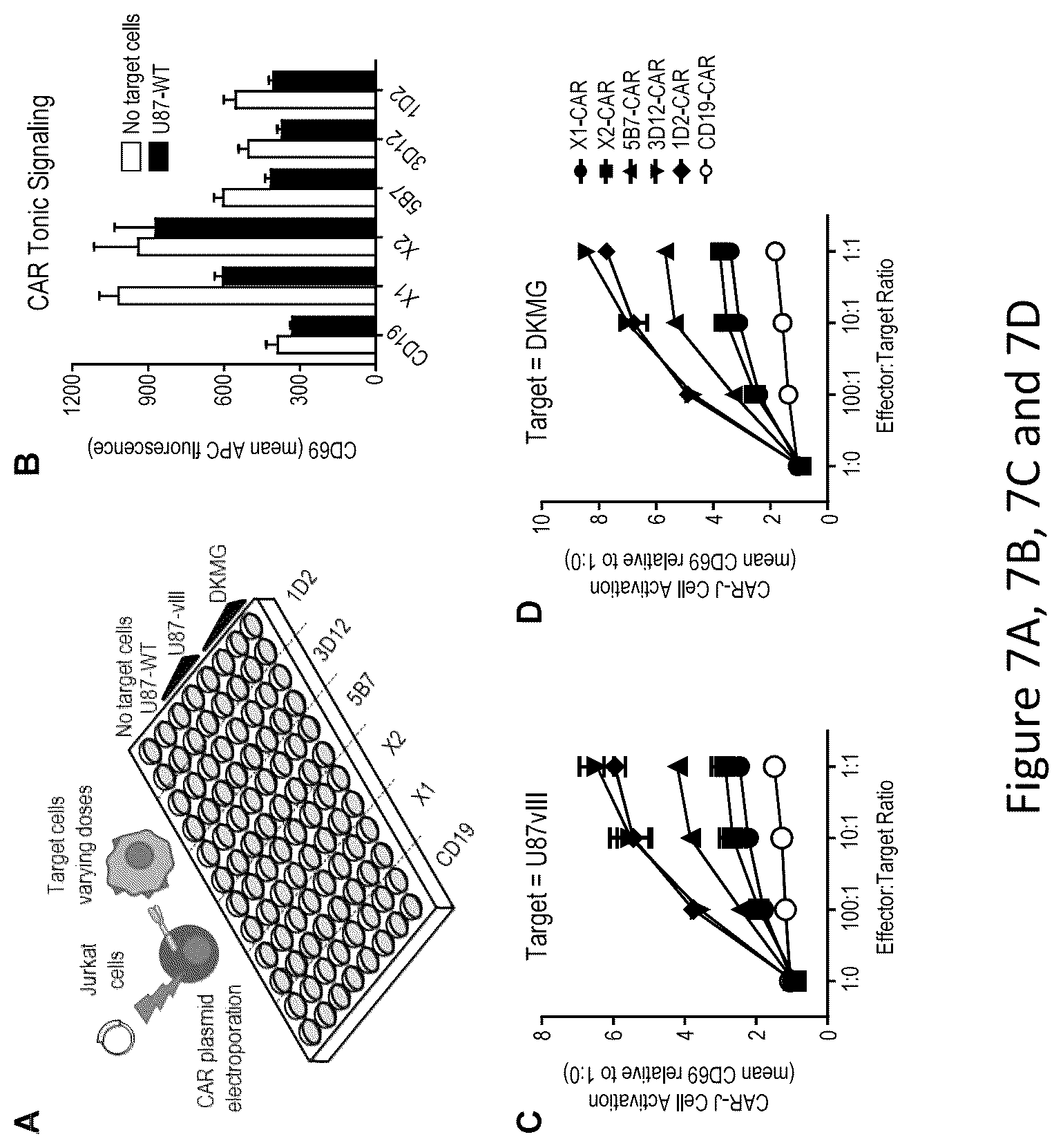 Patent US12576133 Figure 11 – Antigen-binding agents that specifically bind epidermal growth factor receptor variant III
