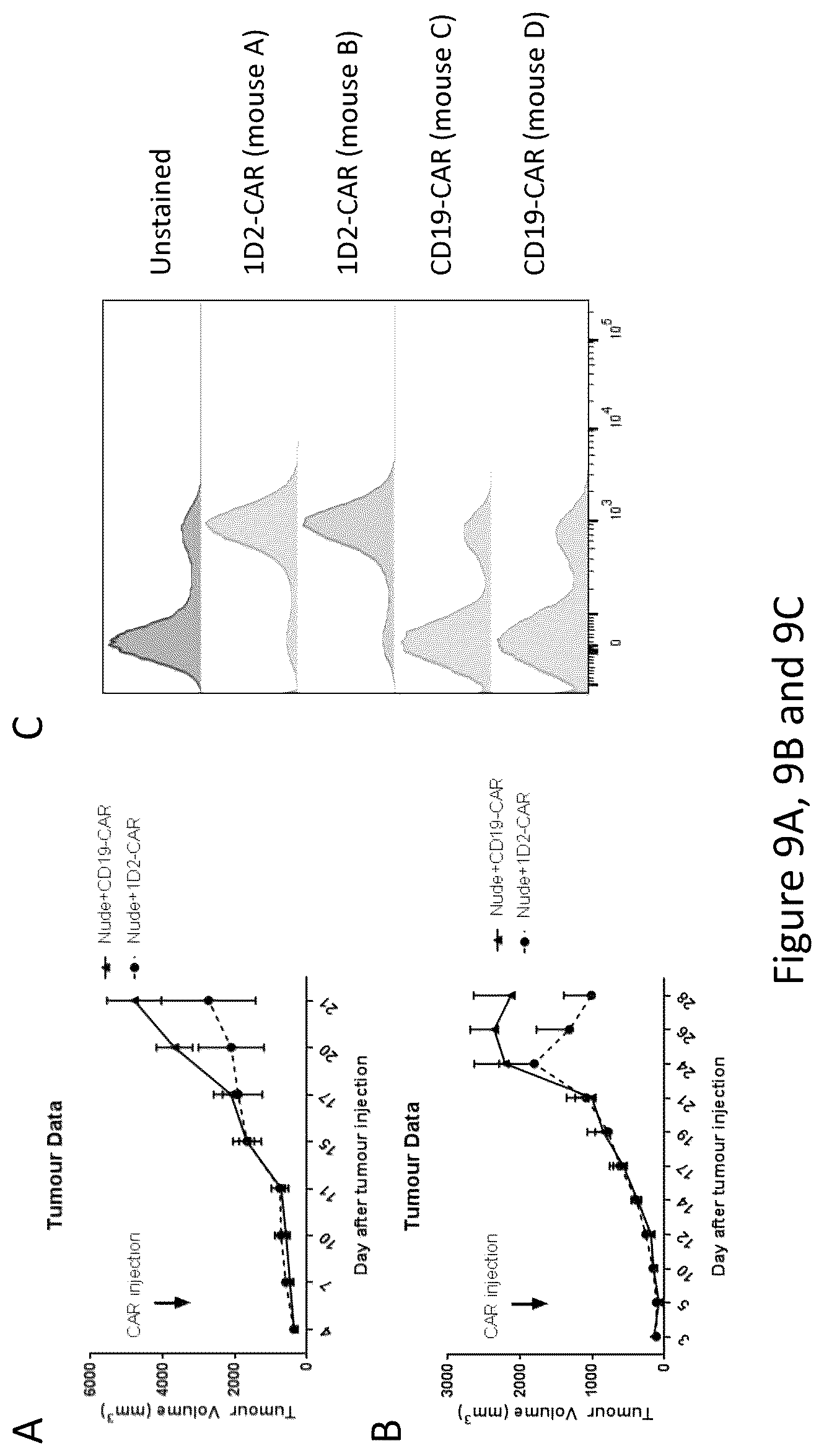 Patent US12576133 Figure 14 – Antigen-binding agents that specifically bind epidermal growth factor receptor variant III